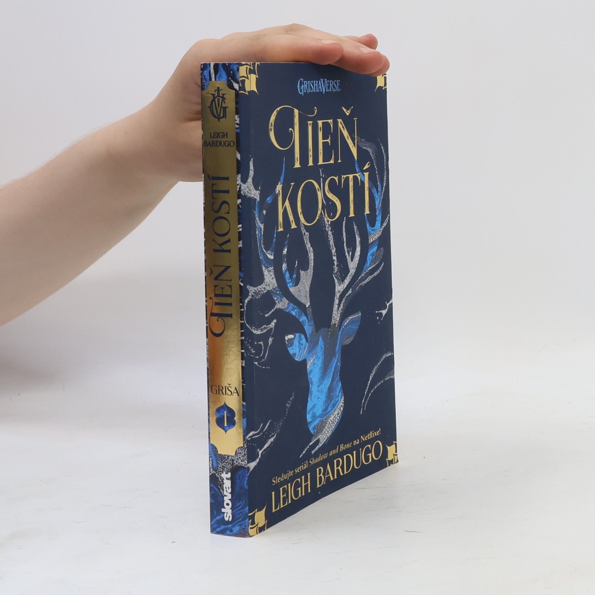 Leigh Bardugo Tieň kostí