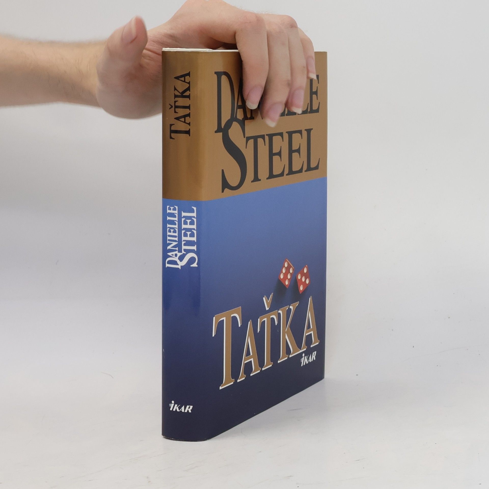Danielle Steel Taťka
