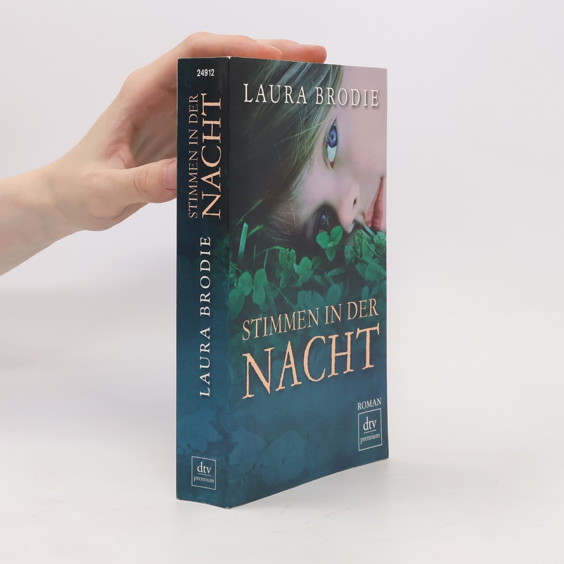 Laura Brodie Stimmen in der Nacht