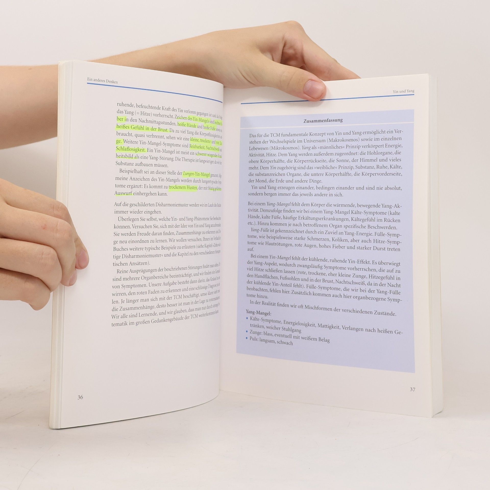 Michael Grandjean Das Handbuch der chinesischen Heilkunde