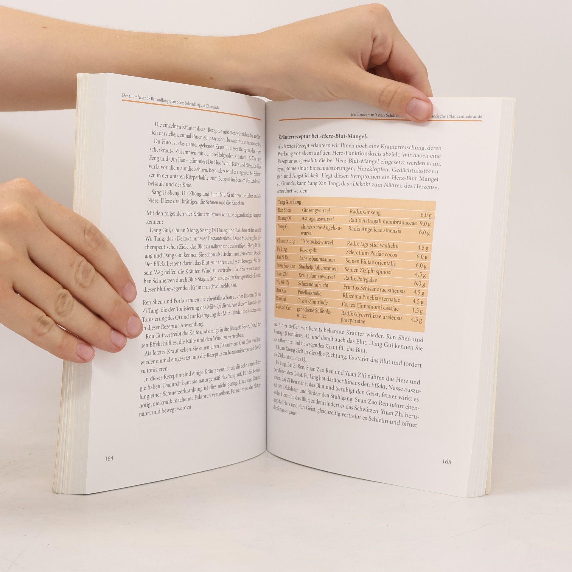 Michael Grandjean Das Handbuch der chinesischen Heilkunde
