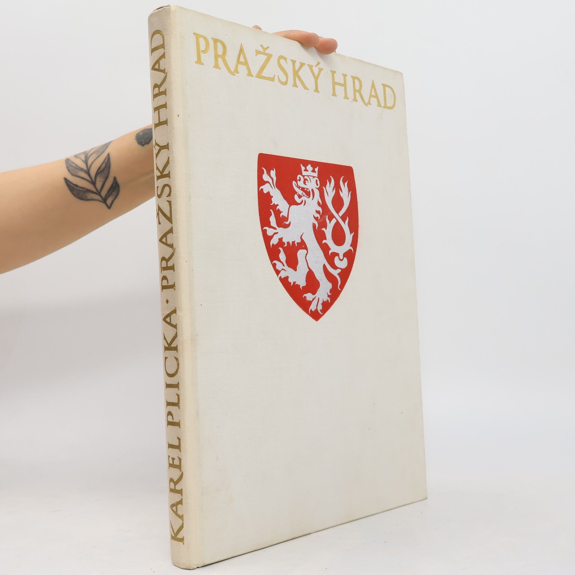 Karel Plicka Pražský hrad