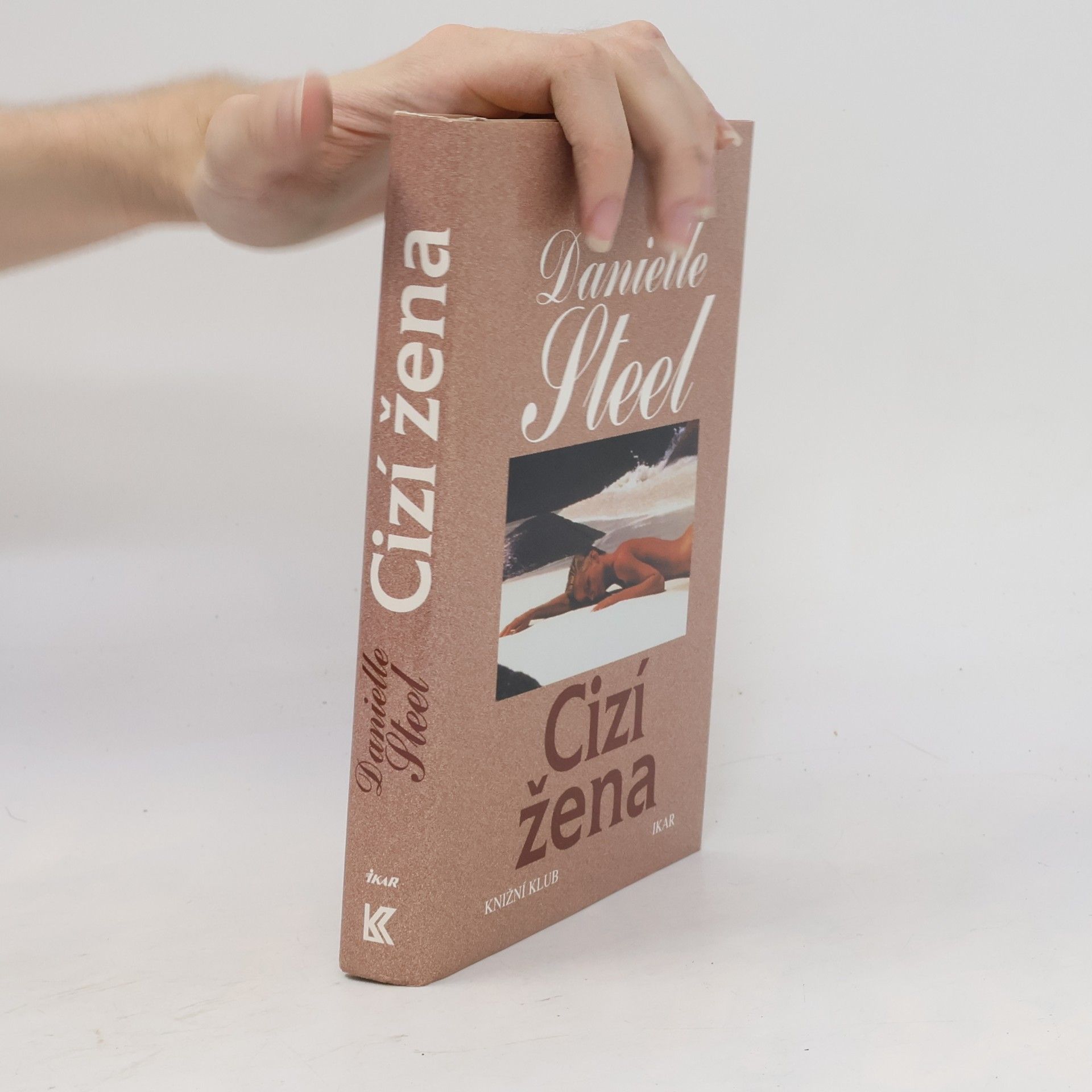 Danielle Steel Cizí žena