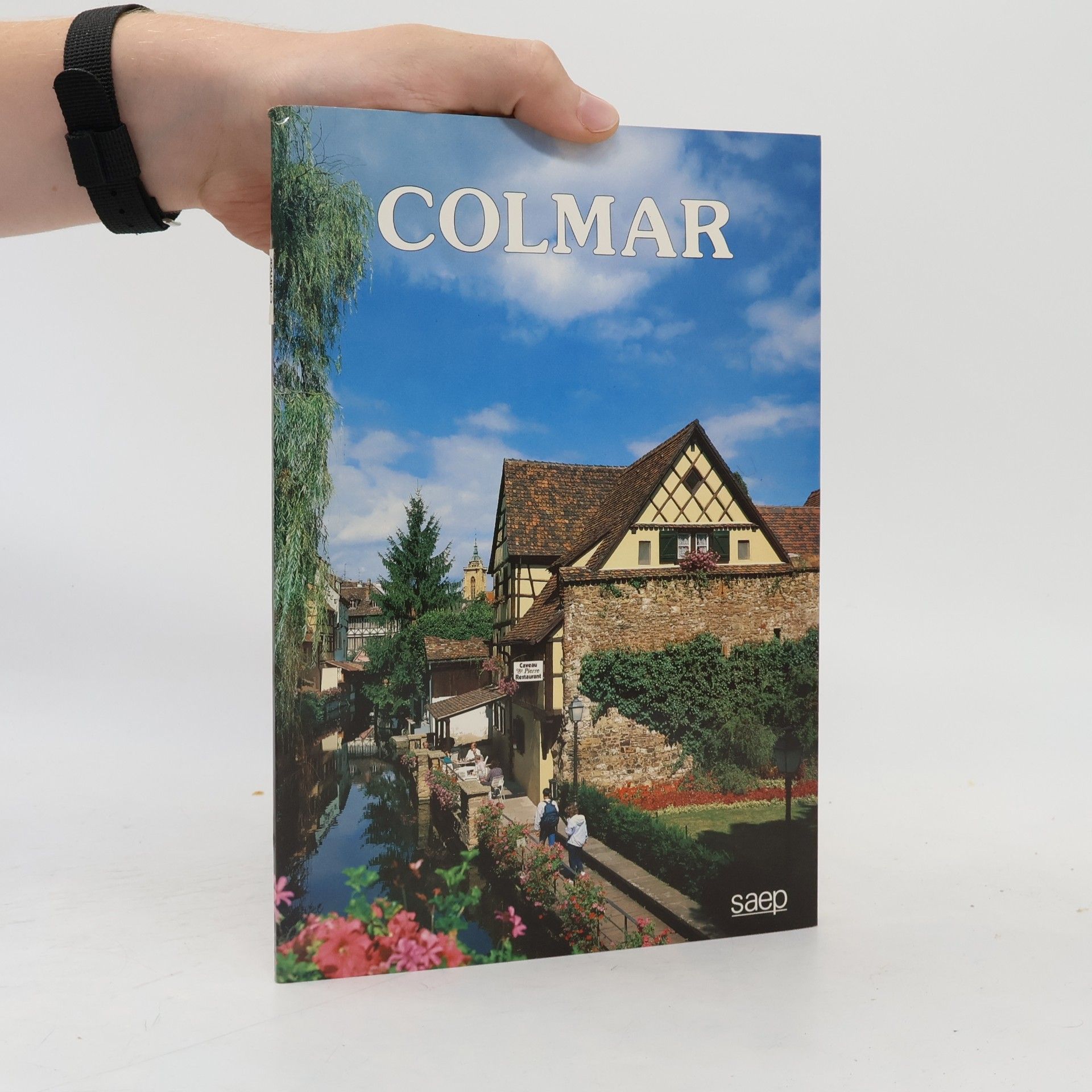 Philippe Legin Colmar