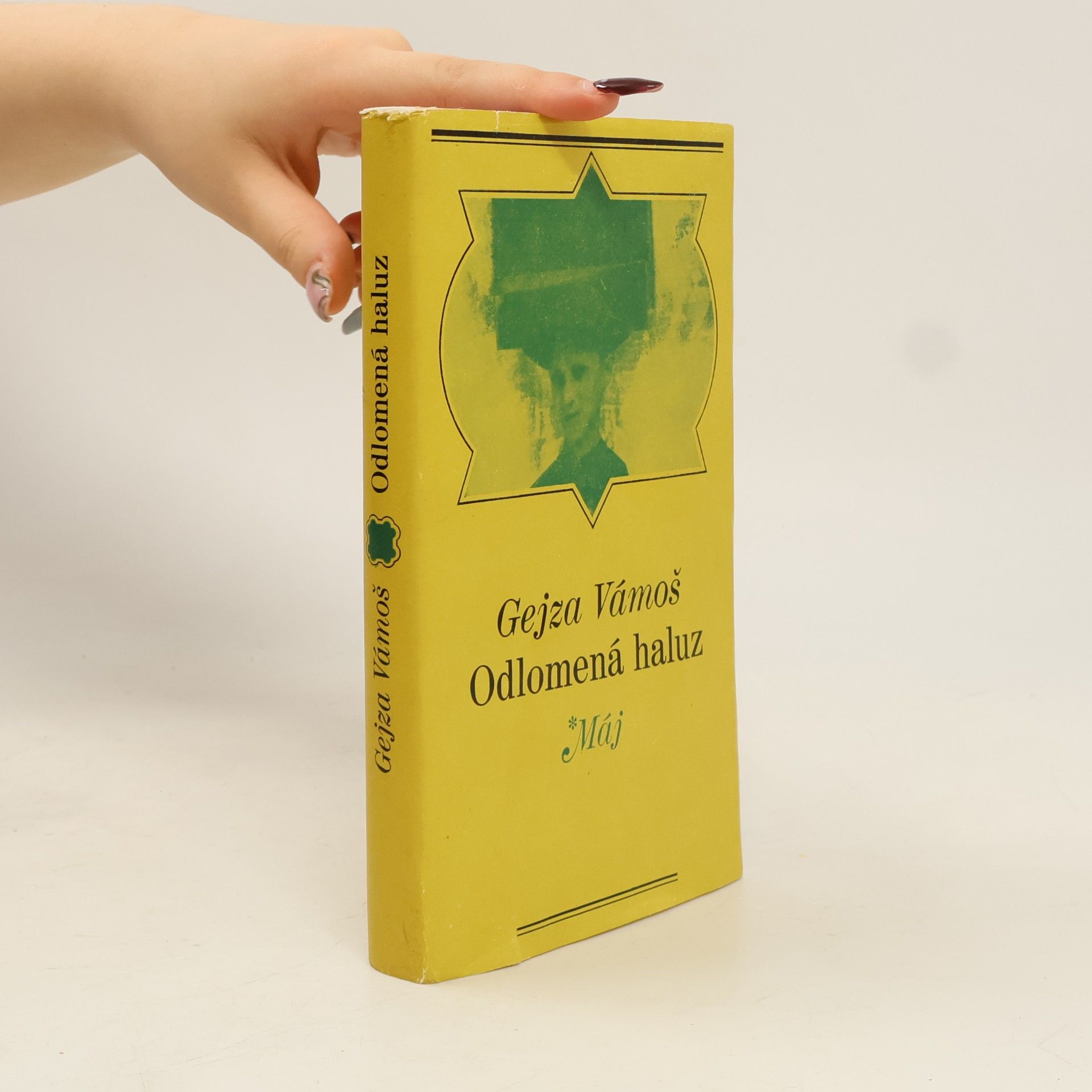 Odlomená haluz