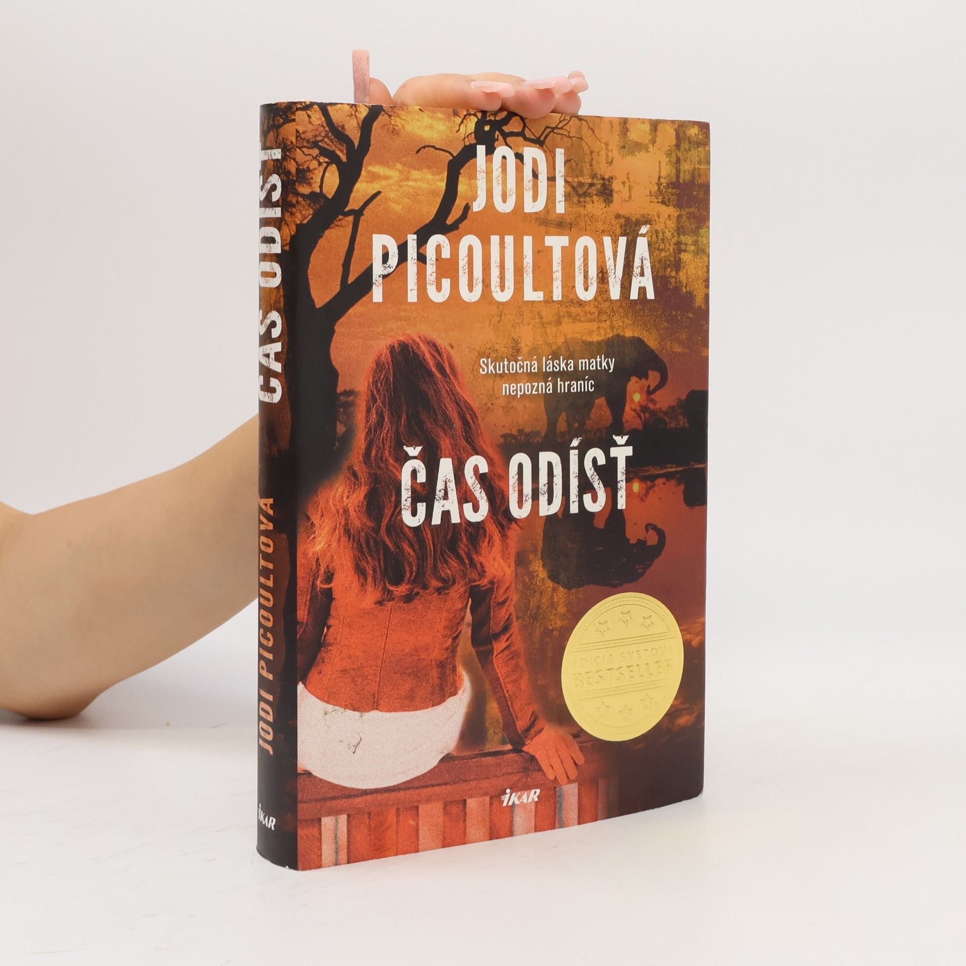 Jodi Picoult Čas odísť