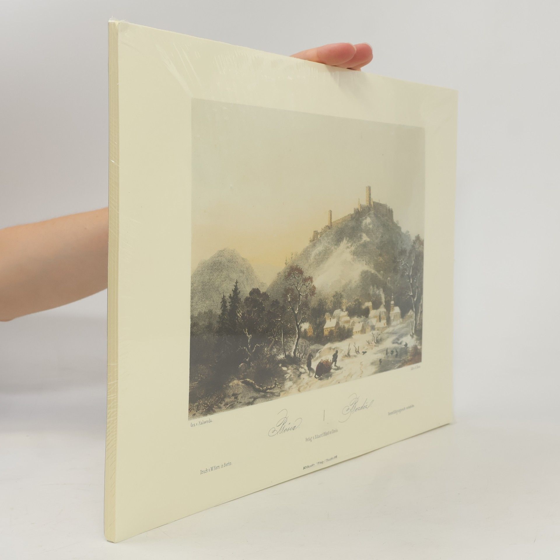 Album vedut království Českého
