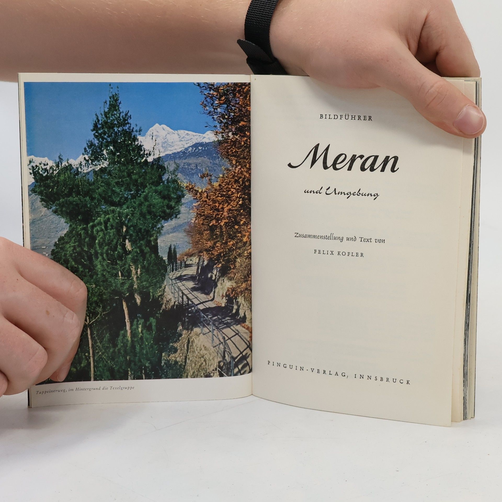 AA.VV. Meran und Umgebung