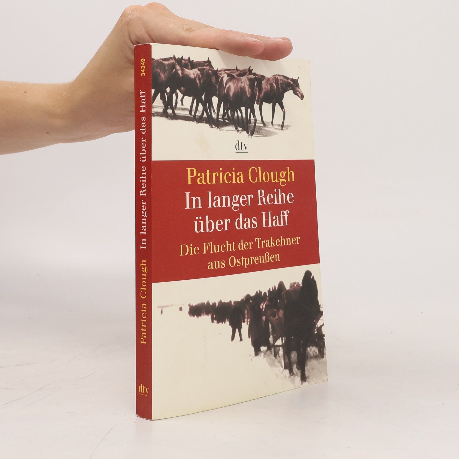 Patricia Clough In langer Reihe über das Haff