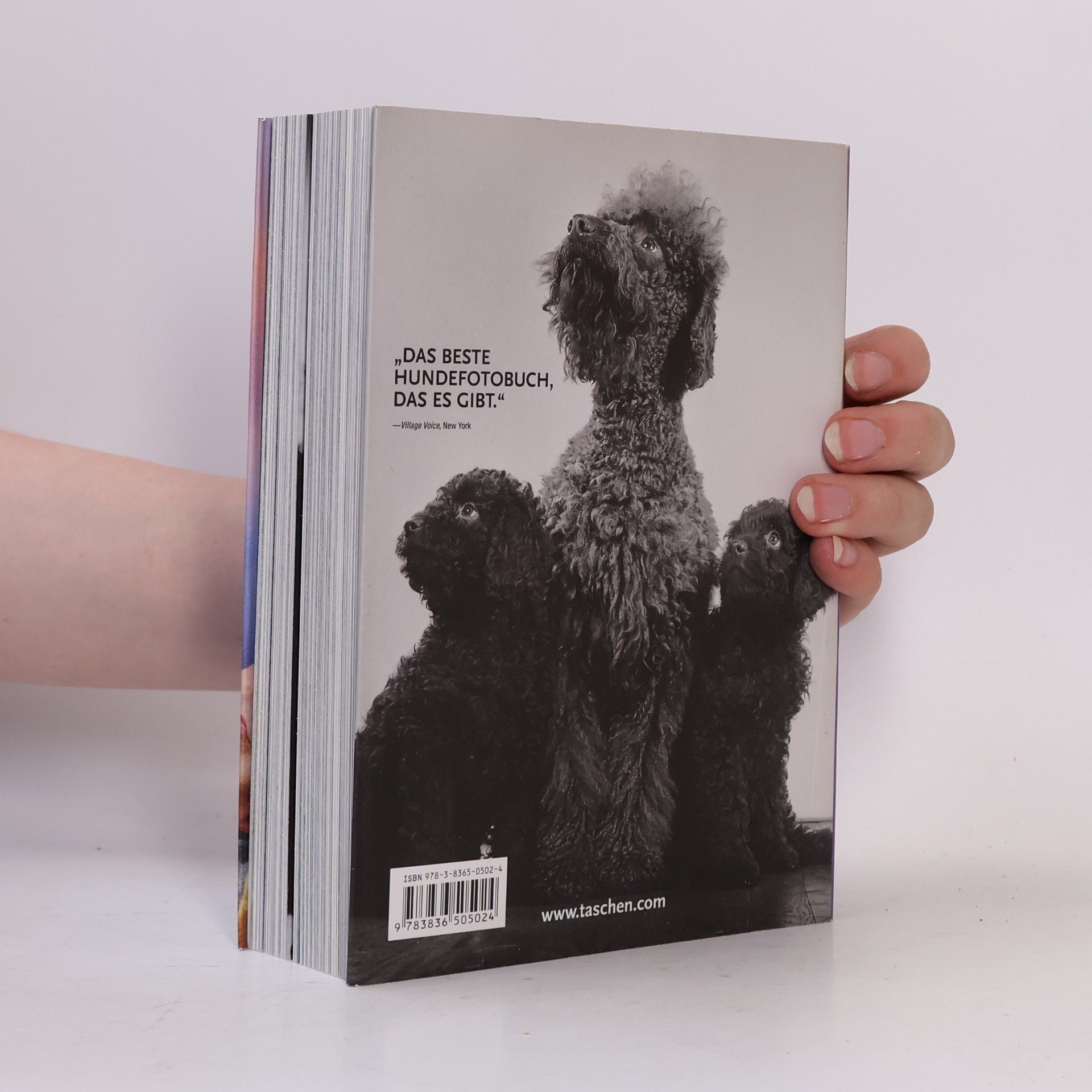 Raymond Merritt 1000 dogs