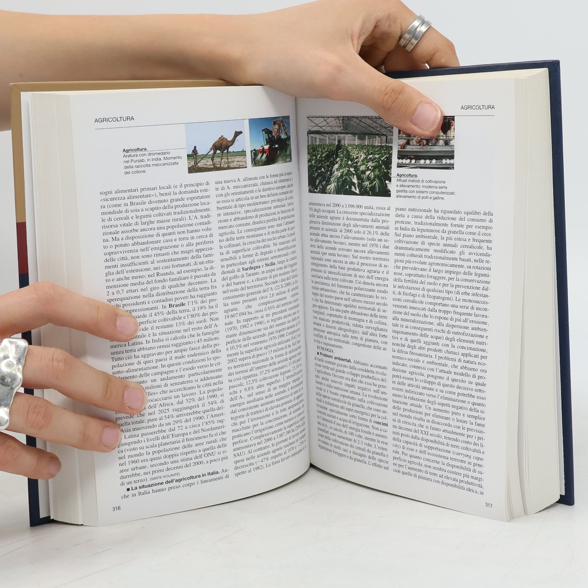 Autores varios L'Enciclopedia 1