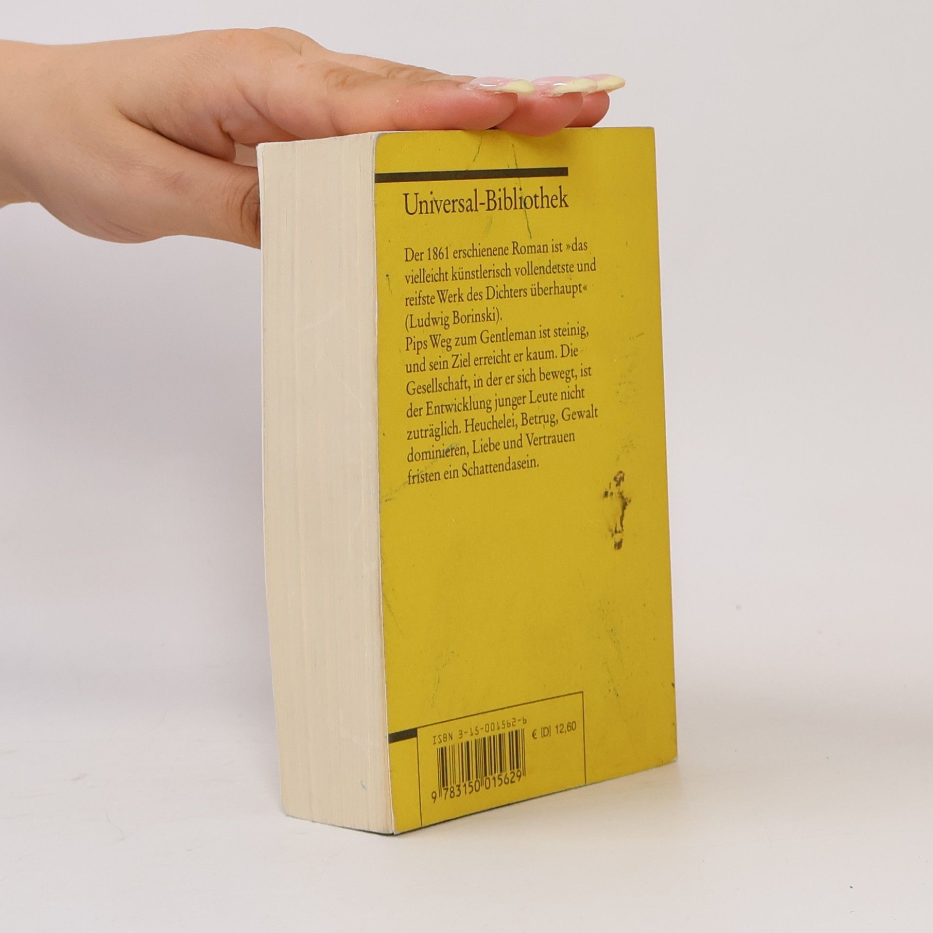 Charles Dickens Große Erwartungen