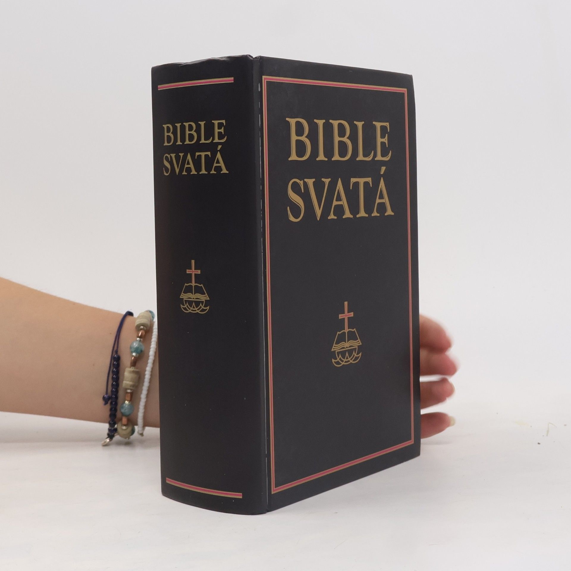 Autorenkollektiv Bible svatá aneb všecka svatá písma Starého i Nového zákona