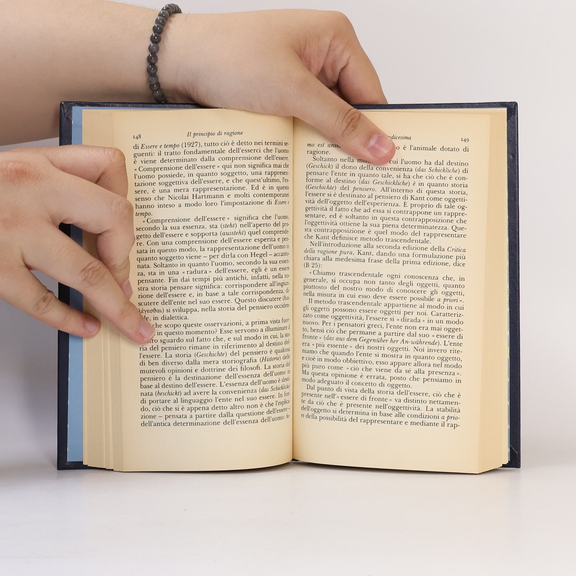 Martin Heidegger Il principio di ragione