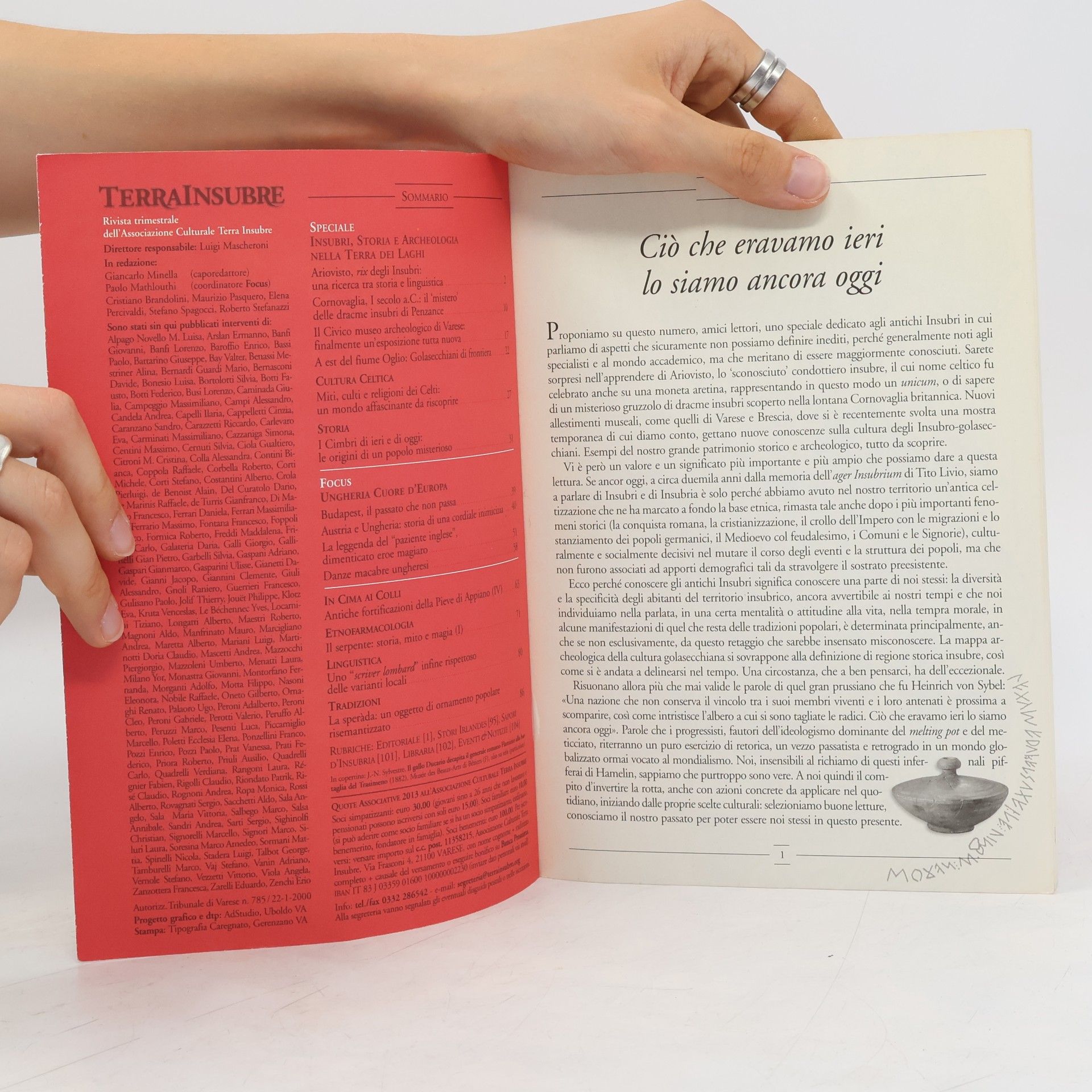 Collectif d'auteurs Terra Insubre 66