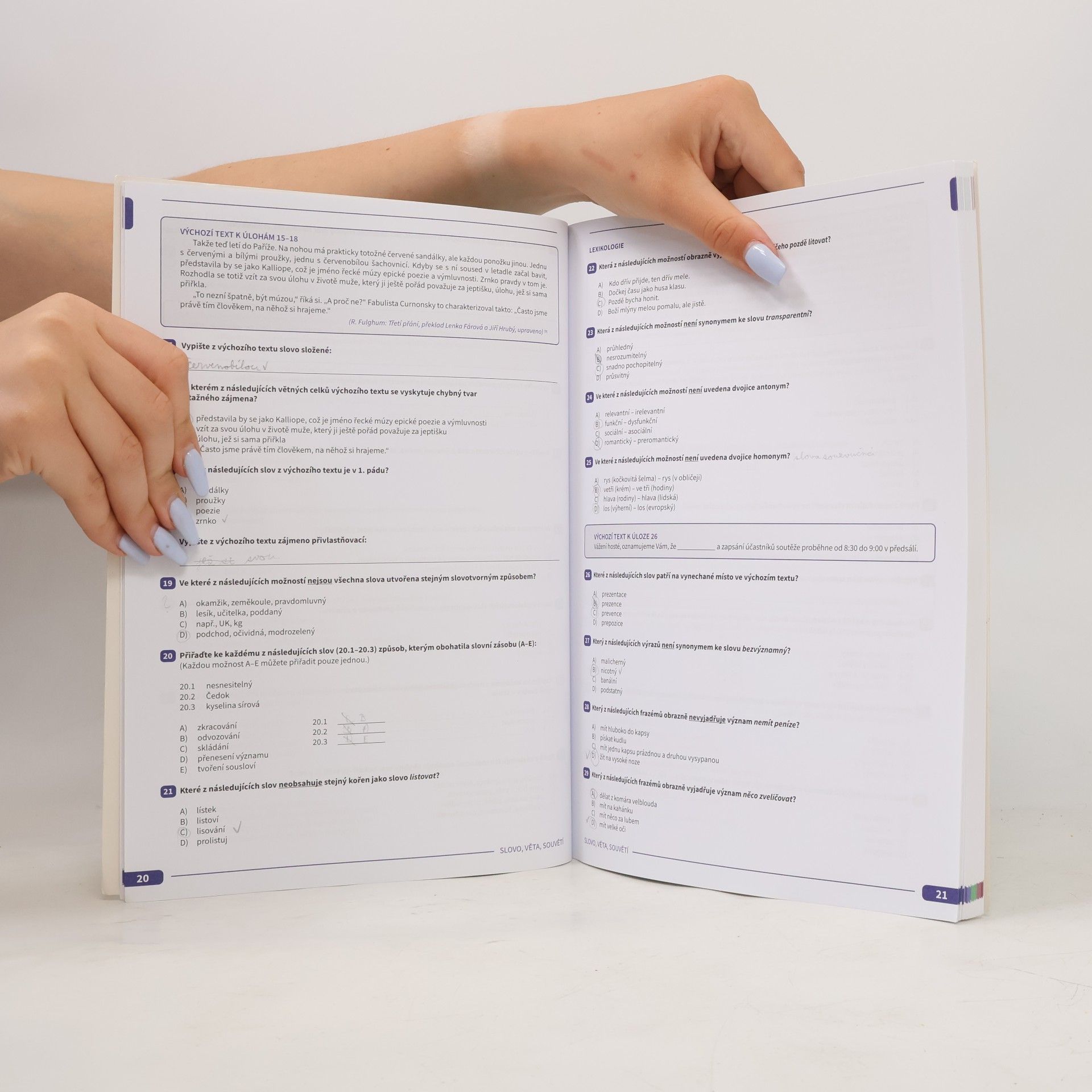 Various authors Maturita v pohodě. Český jazyk a literatura