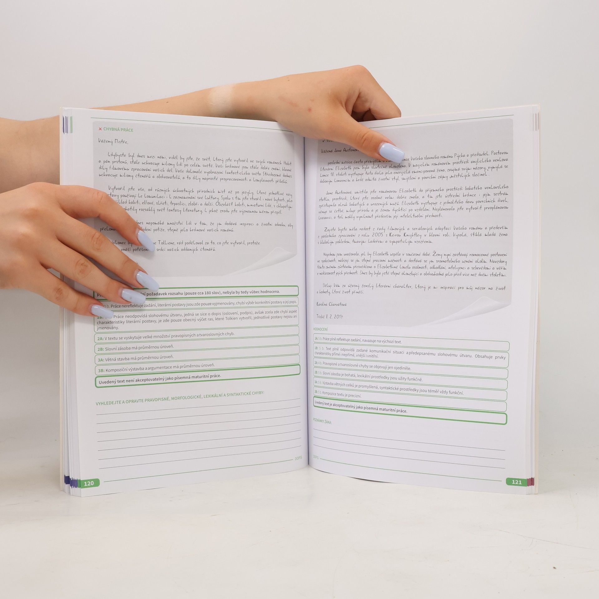Various authors Maturita v pohodě. Český jazyk a literatura