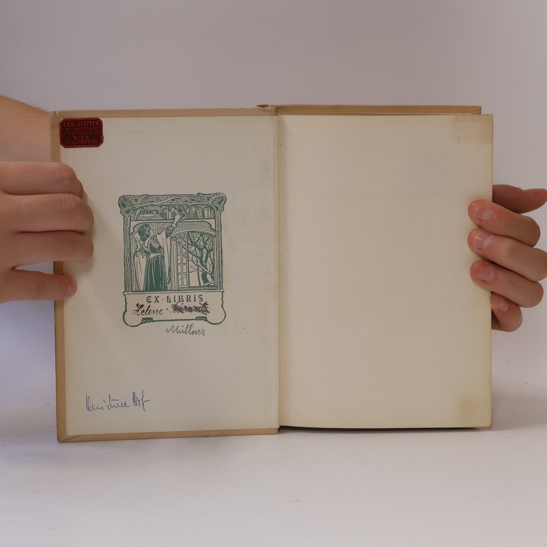 Gabriele D’Annunzio Der Unschuldige