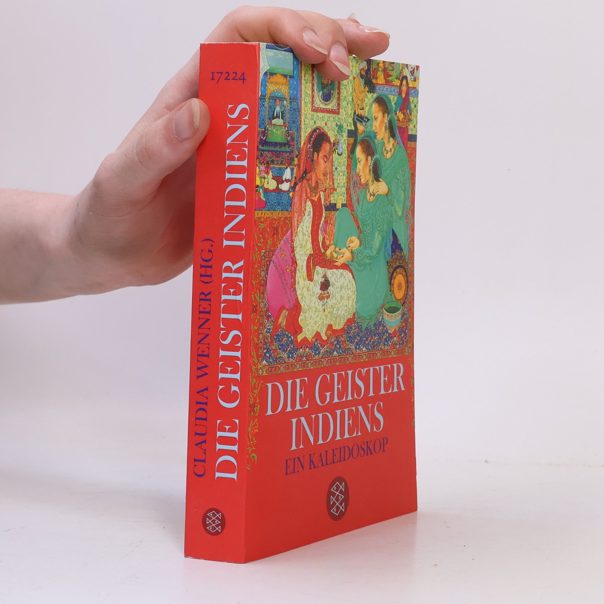Claudia Wenner Die Geister Indiens