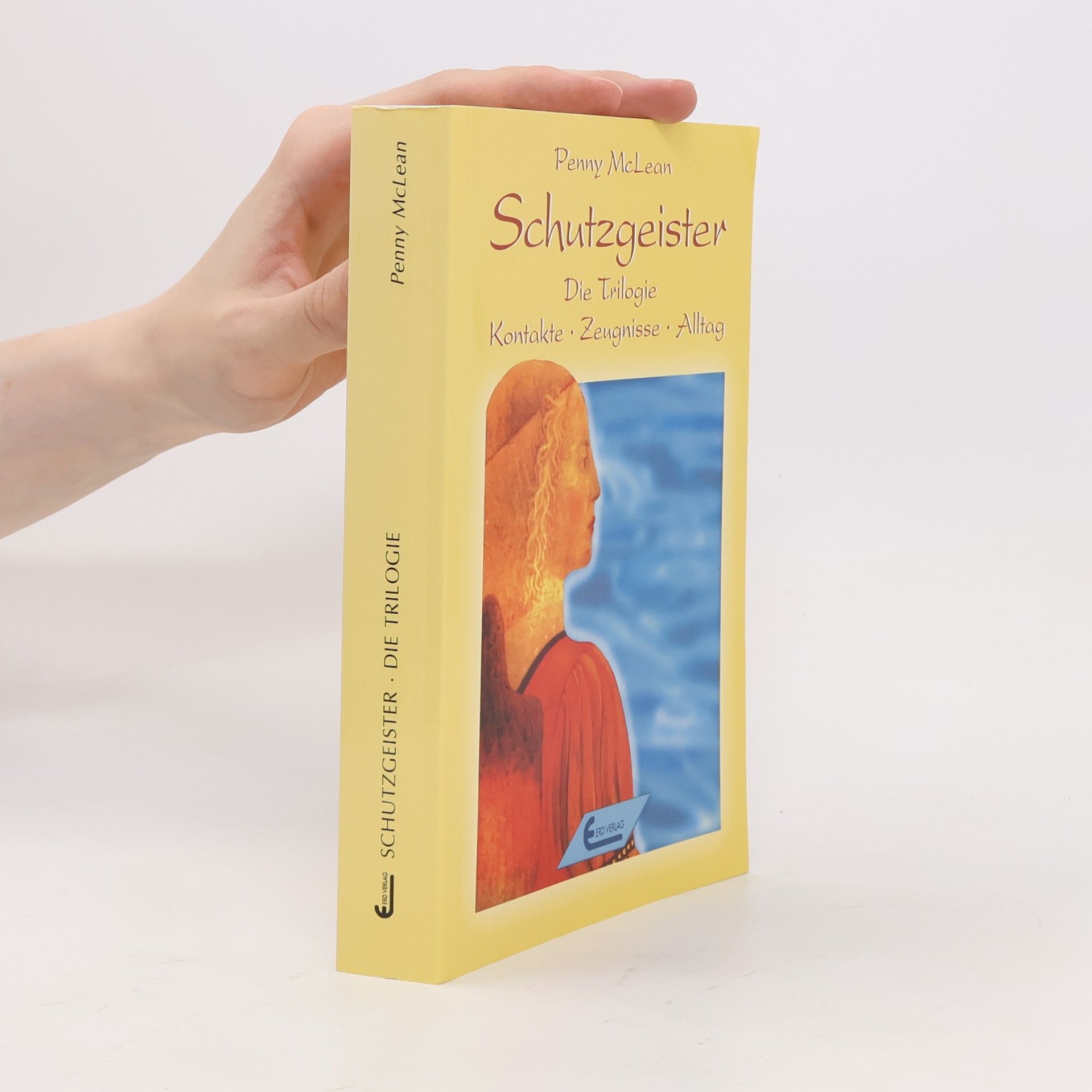 Penny McLean Schutzgeister Die Trilogie