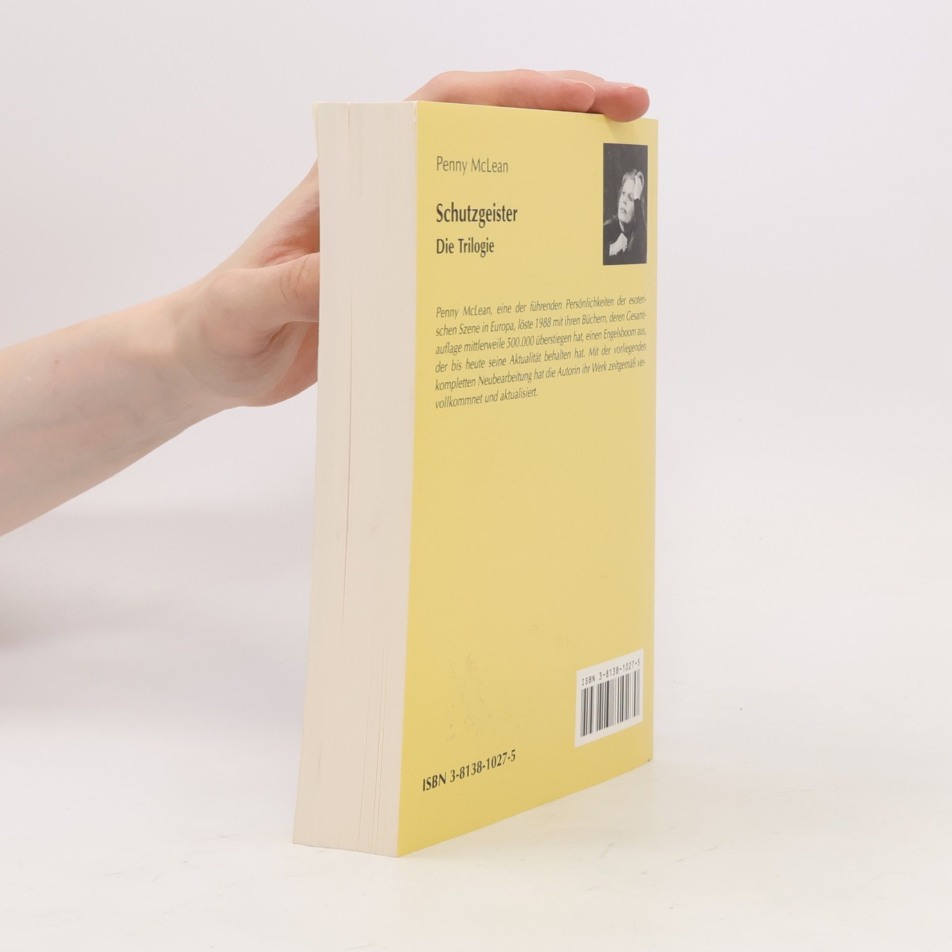 Penny McLean Schutzgeister Die Trilogie