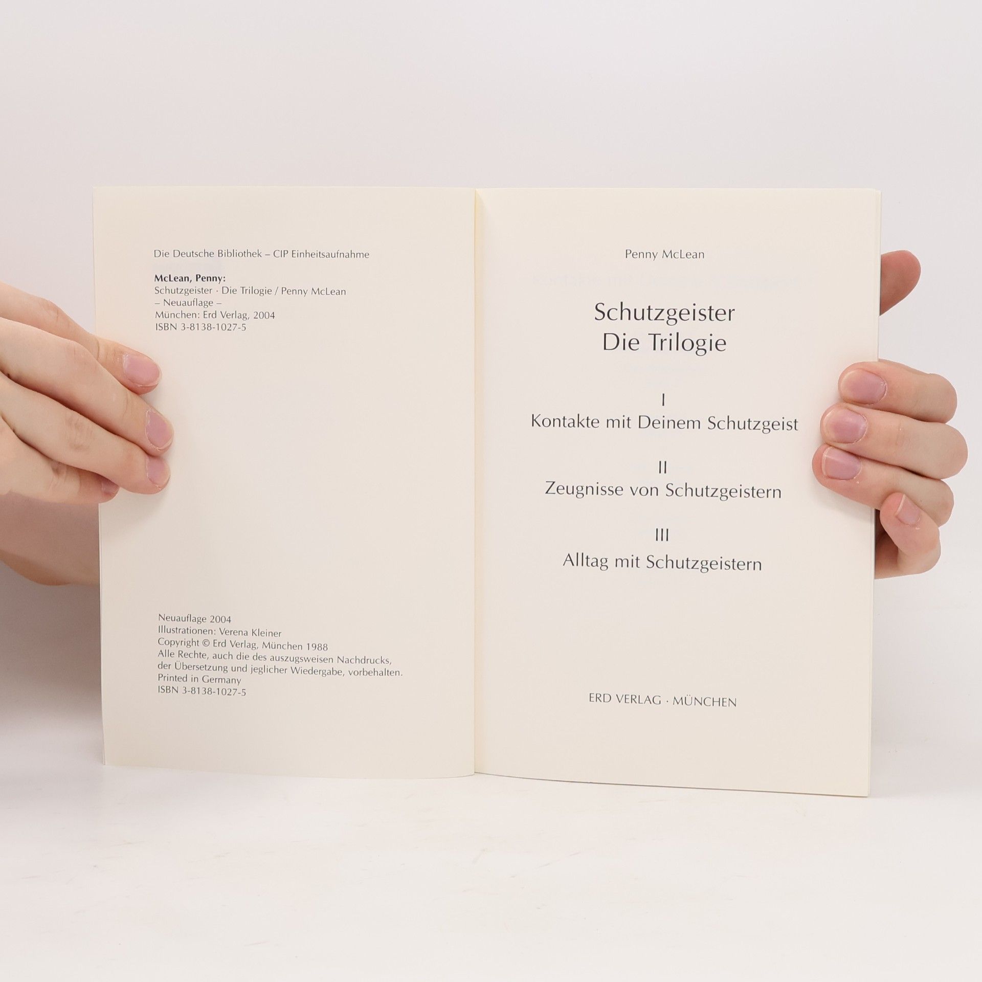 Penny McLean Schutzgeister Die Trilogie