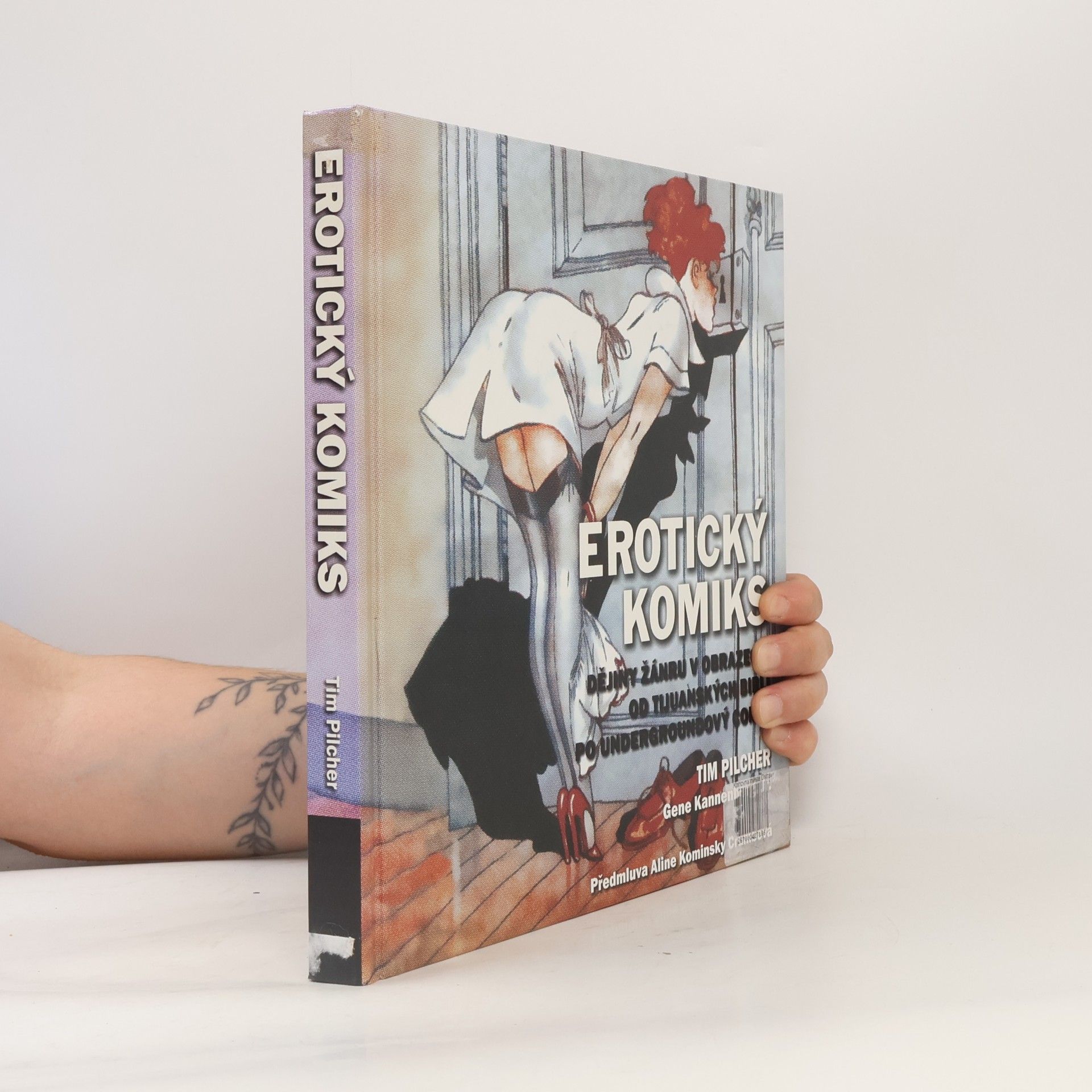 Tim Pilcher Erotický komiks: Dějiny žánru v obrazech