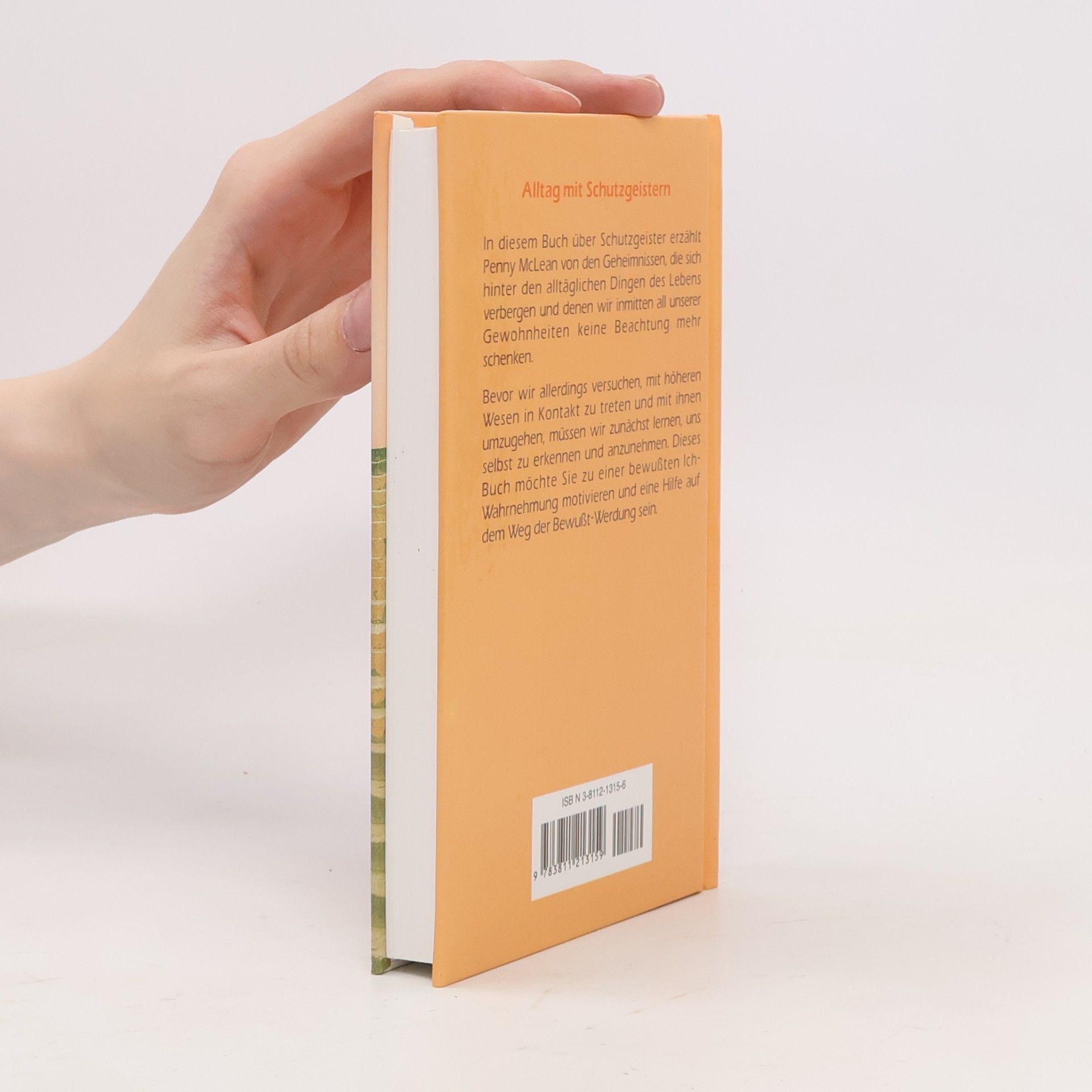 Penny McLean Alltag mit Schutzgeistern