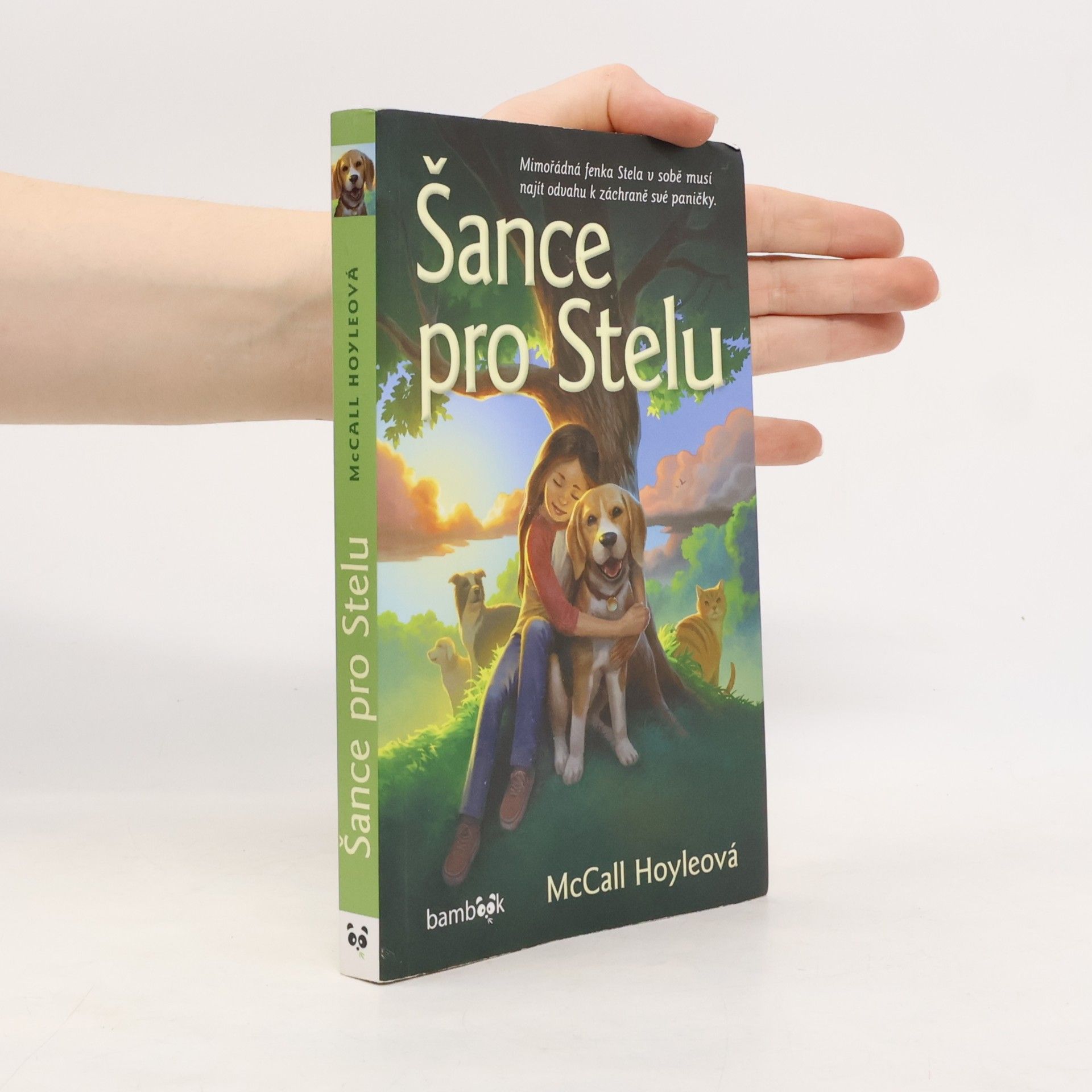 McCall Hoyle Šance pro Stelu
