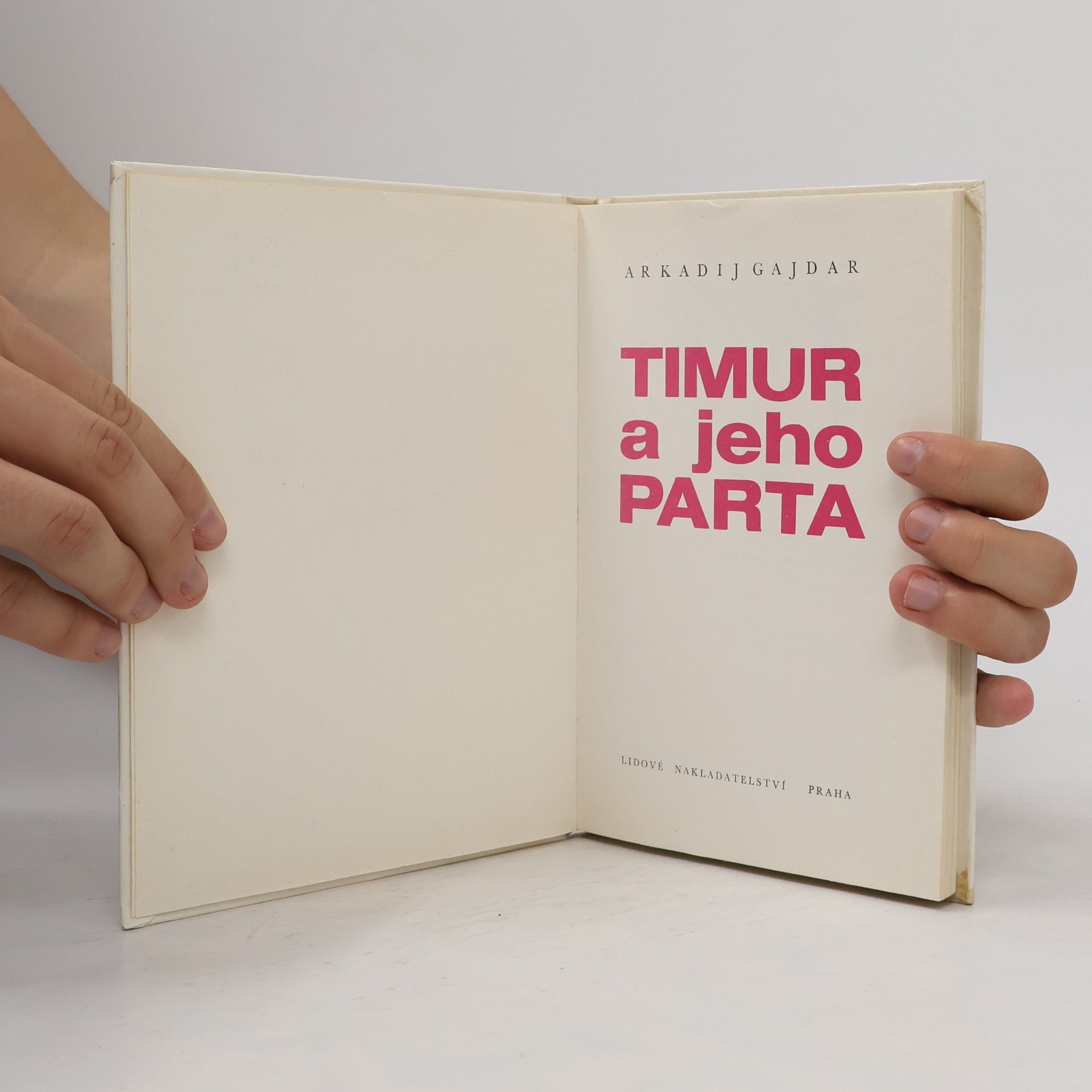 Arkadij Petrovič Gajdar Timur a jeho parta