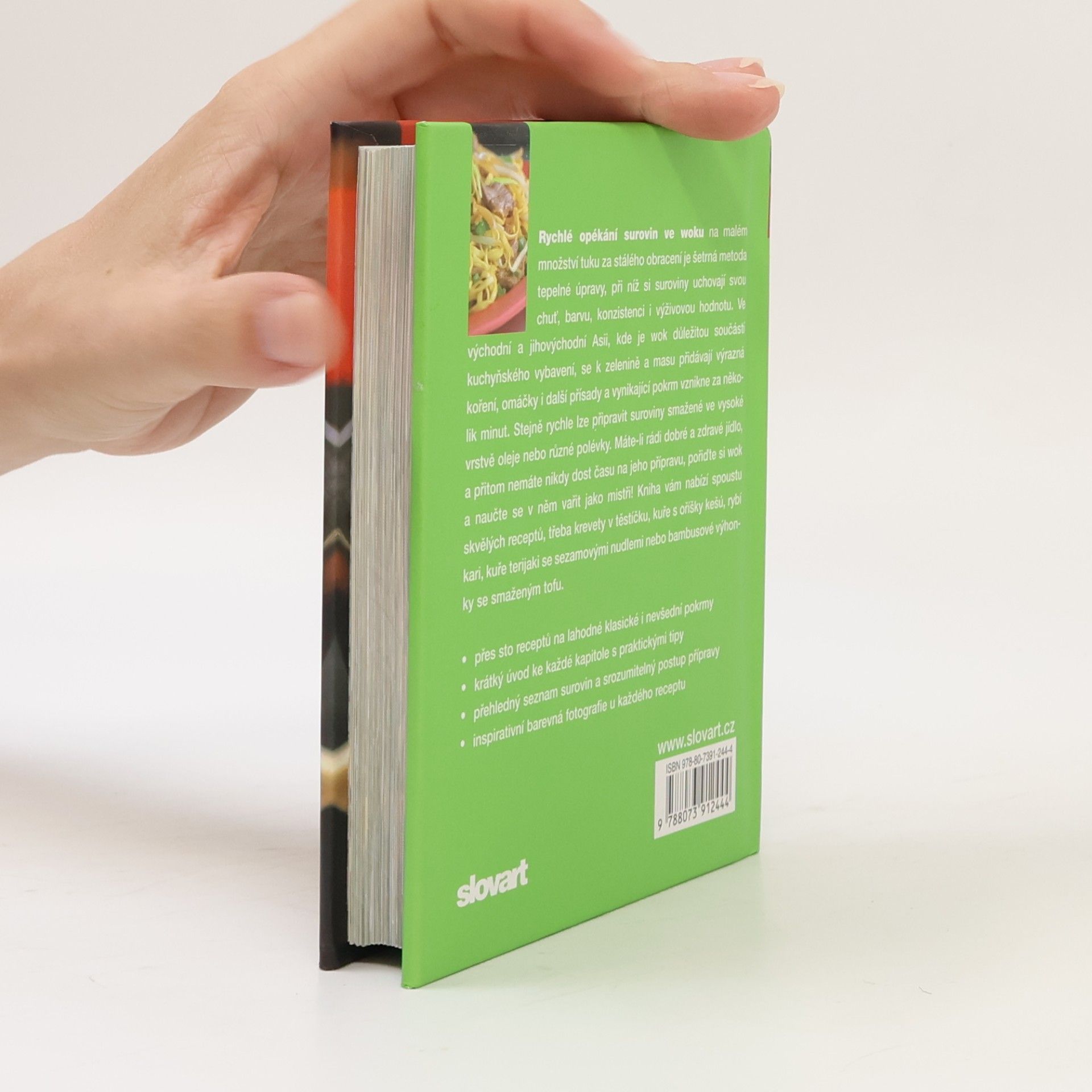 Autorenkollektiv Wok : [více než 100 nepostradatelných receptů]