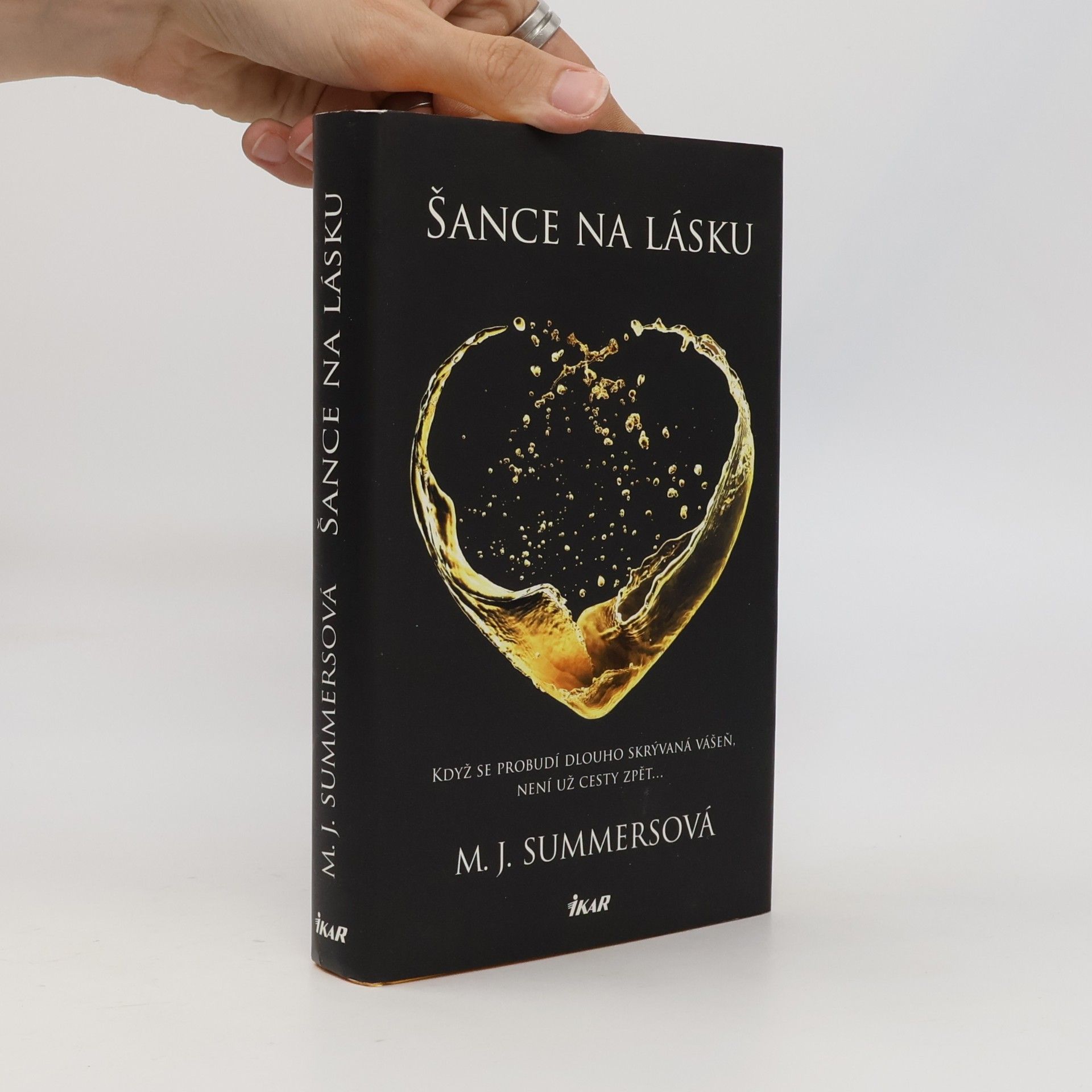 M. J. Summers Šance na lásku