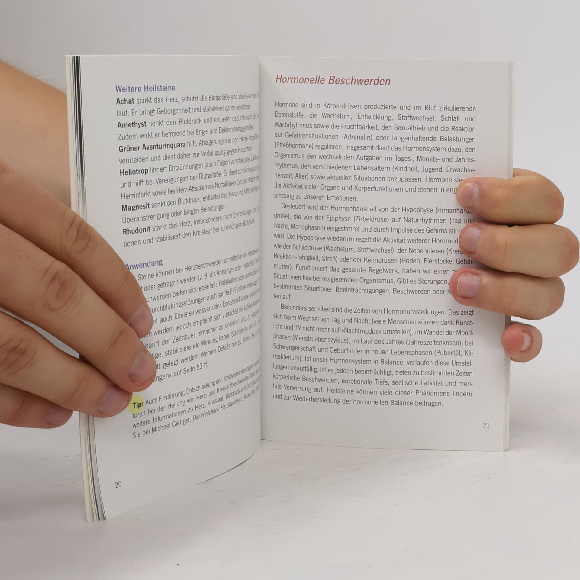 Michael Gienger Die Heilsteine-Taschenapotheke