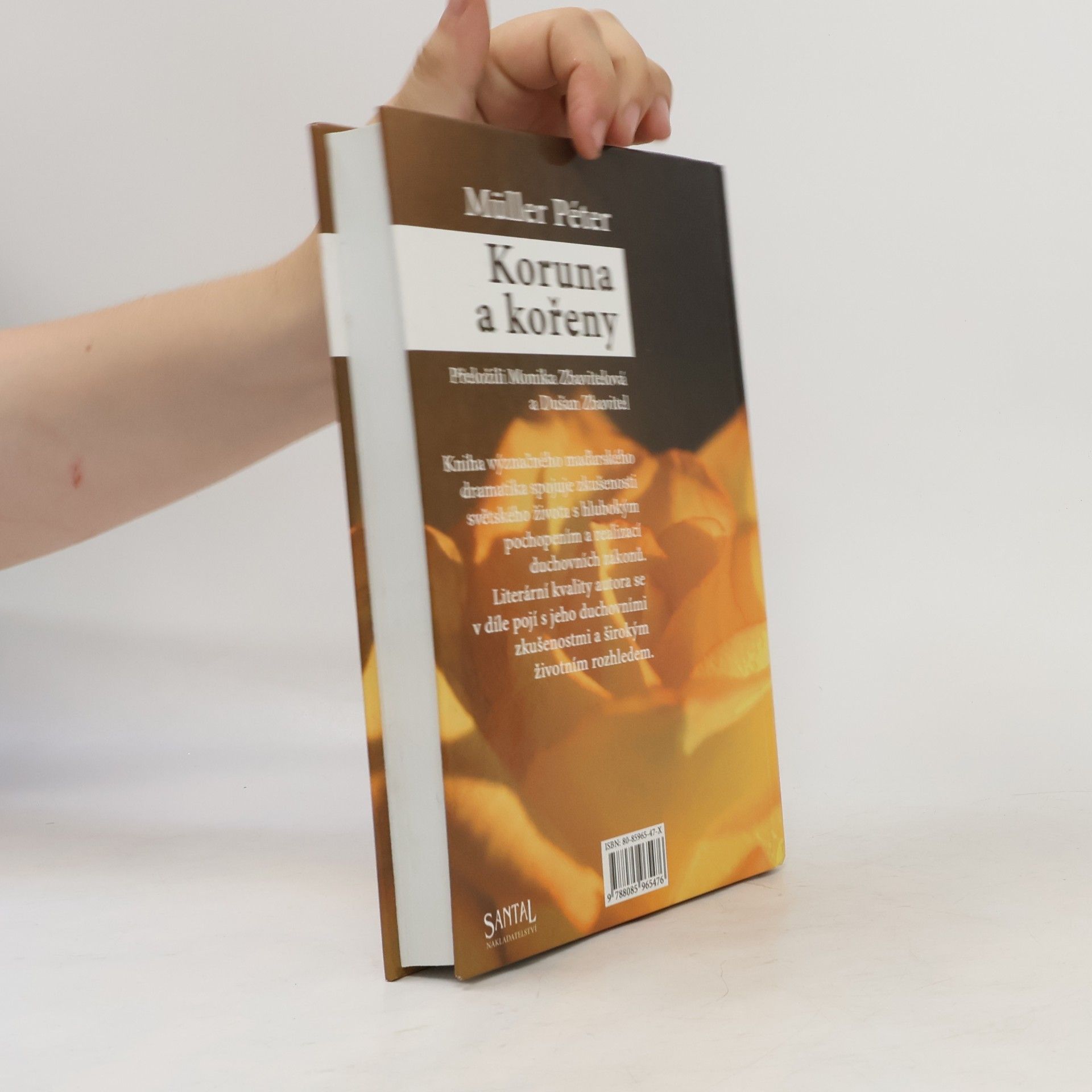 Peter M. Müller Koruna a kořeny