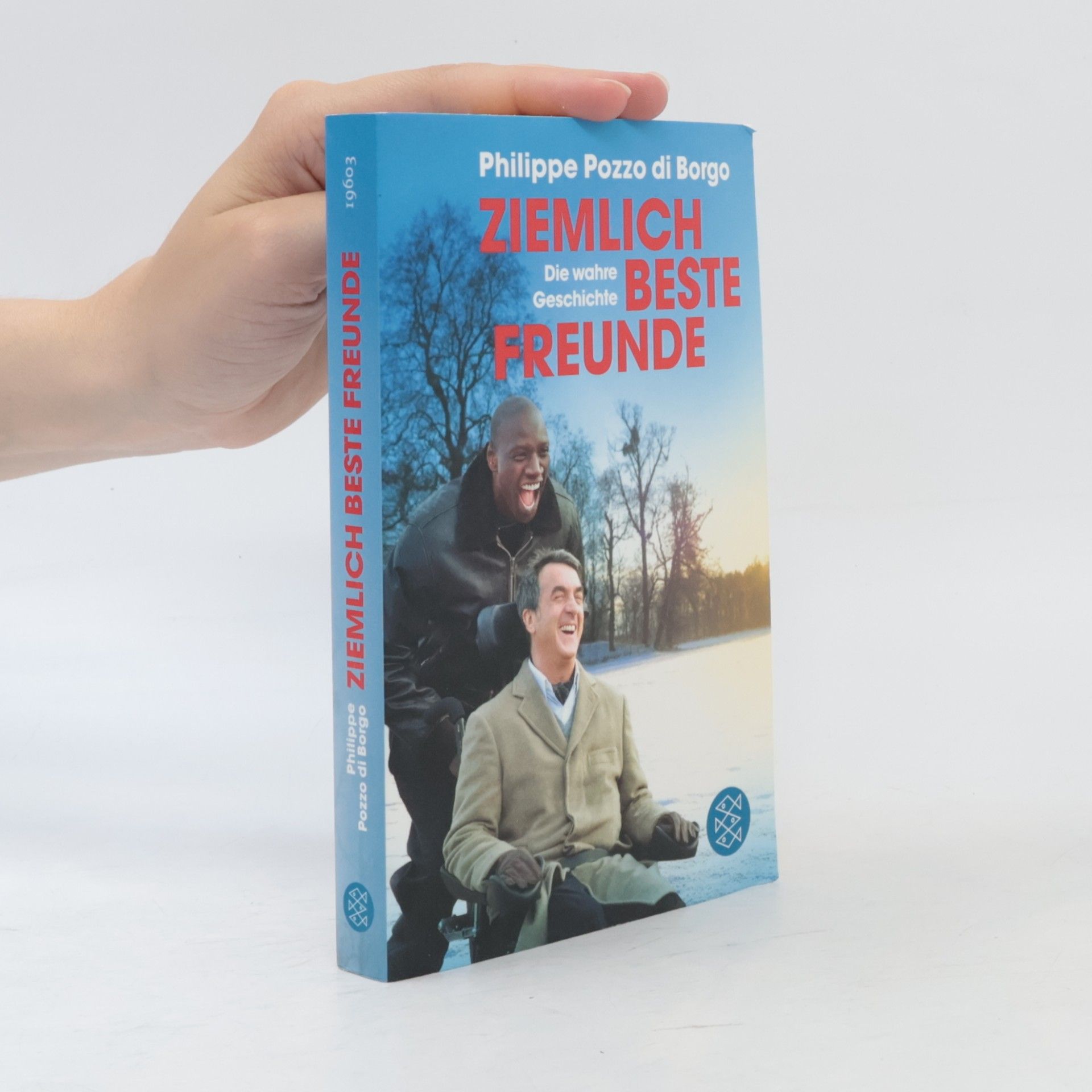 Philippe Pozzo Di Borgo Ziemlich beste Freunde
