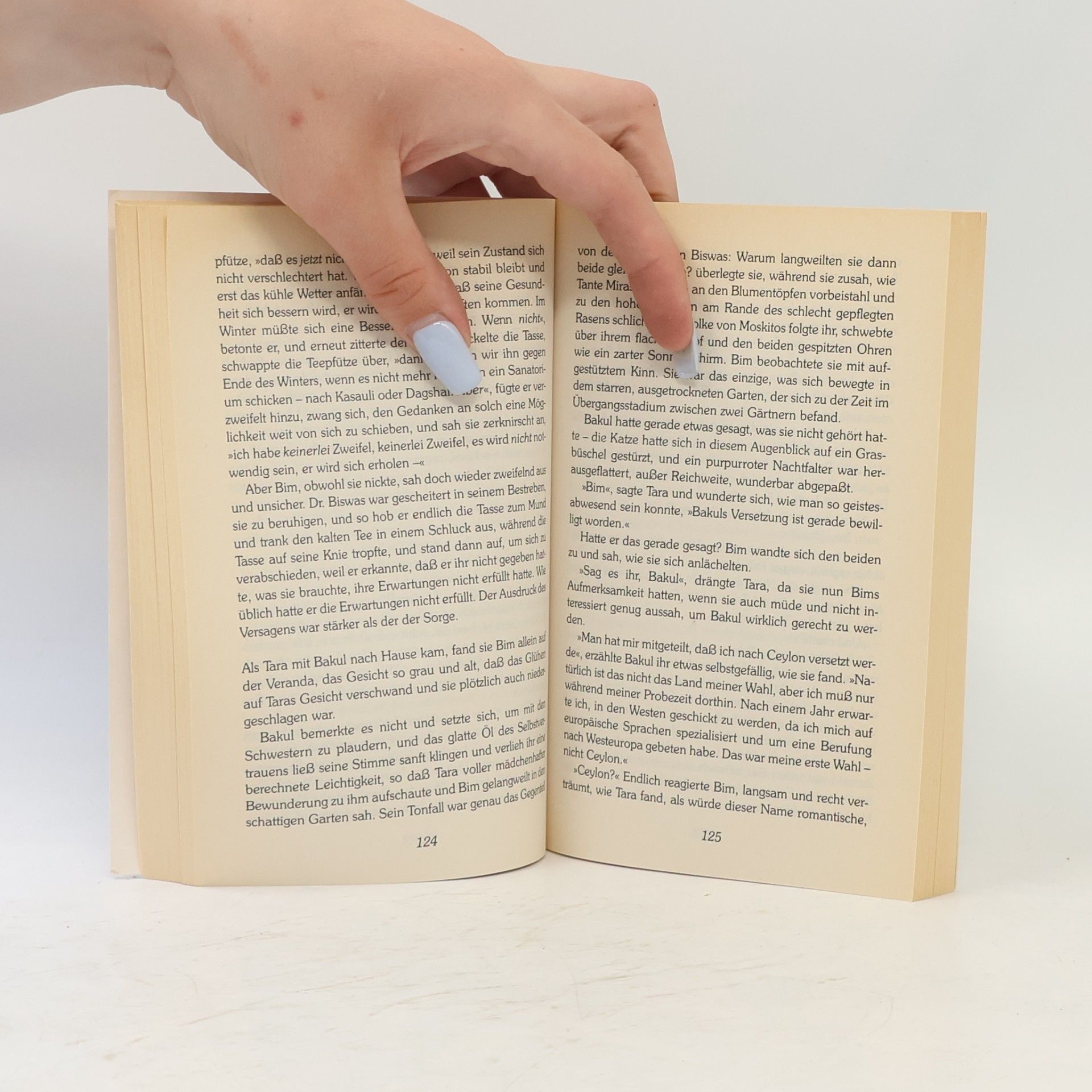 Anita Desai Im hellen Licht des Tages