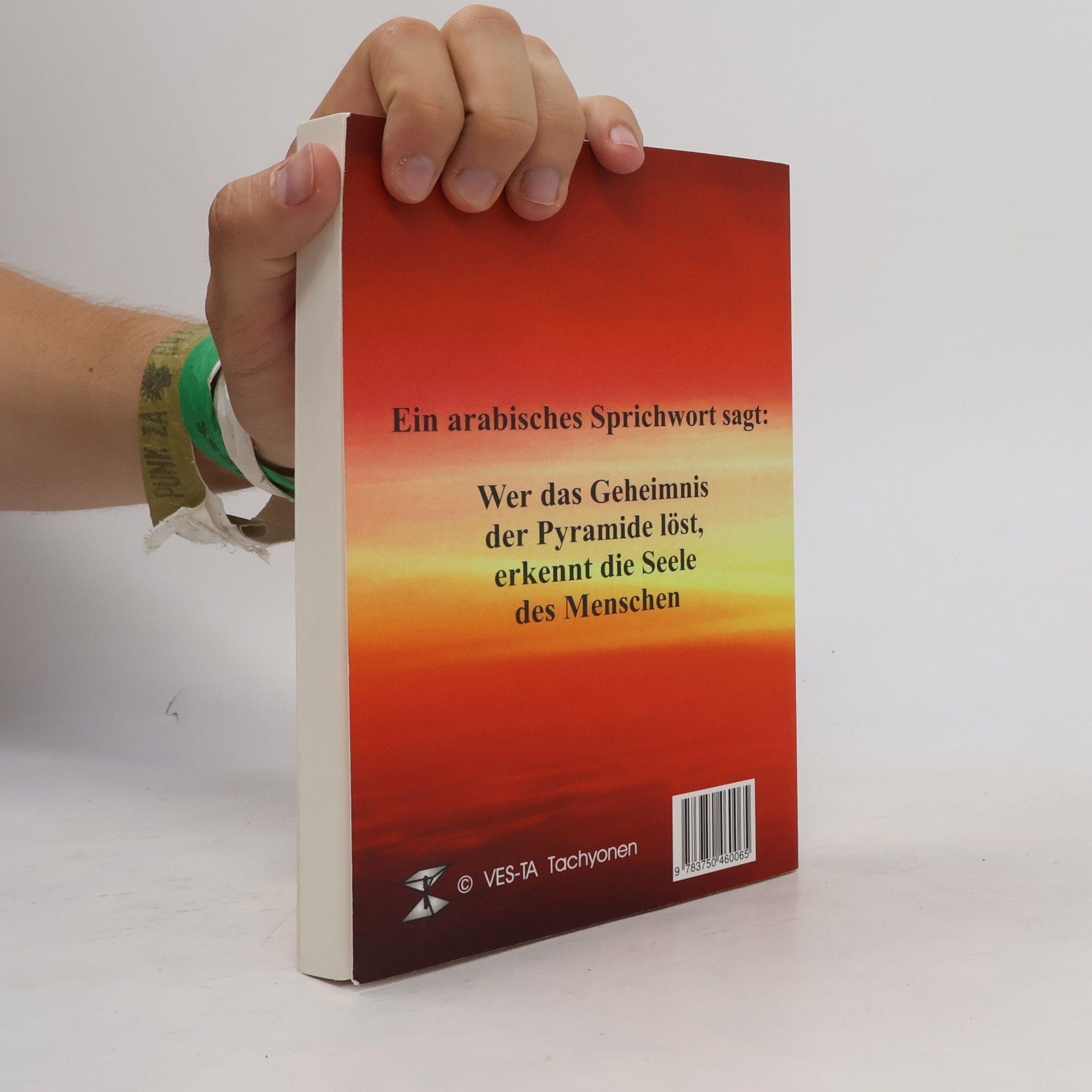L. W. Göring Das Geheimnis der Pyramiden-Energie