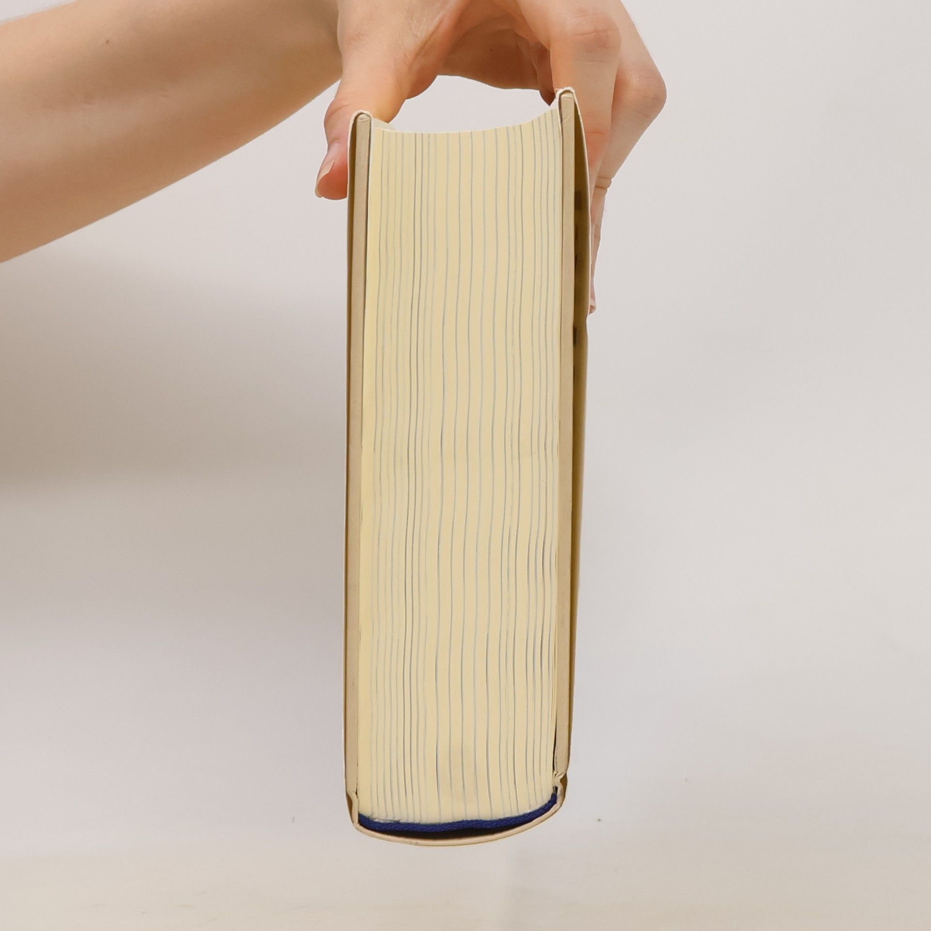 Autorenkollektiv Die Bibel : Einheitsübersetzung