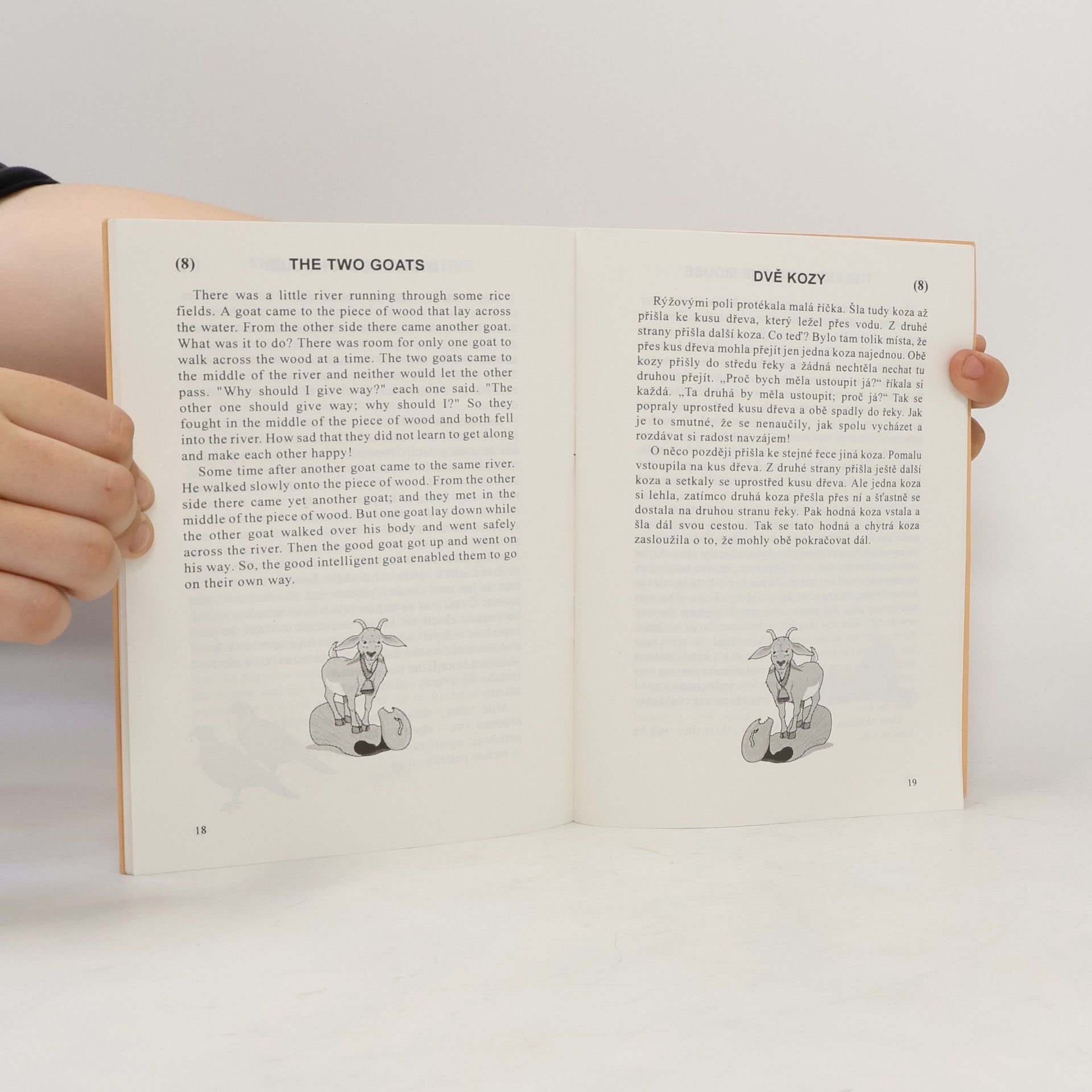 Govind Sahai Rajpoot Indické bajky pro studenty angličtiny / Indian Fables for students of Czech language