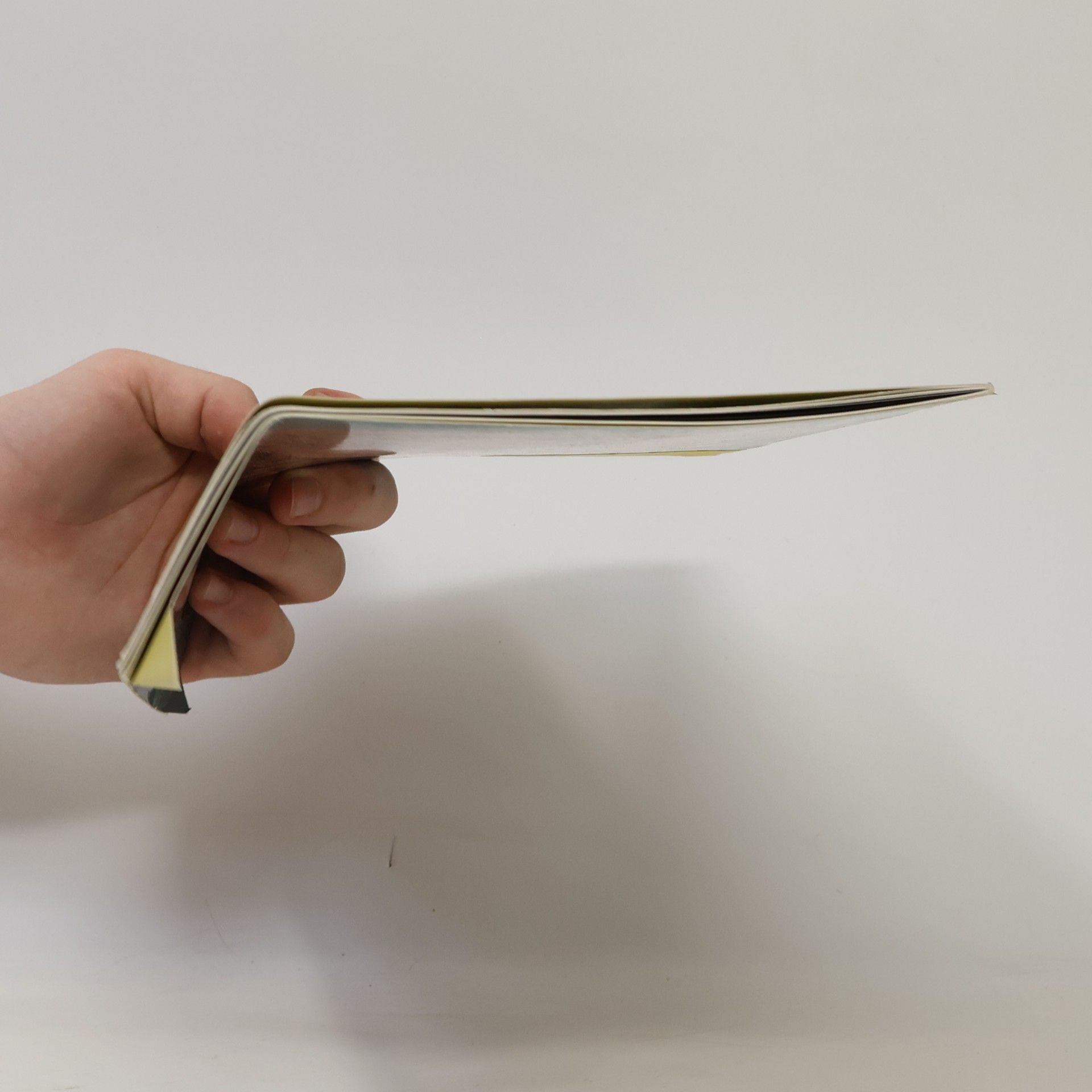 Die ungarischen Krönungsinsignien