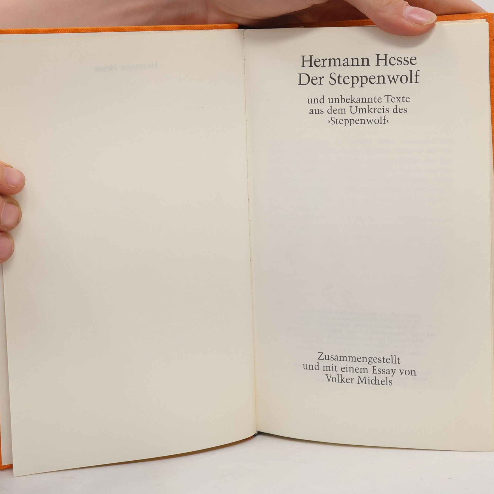 Hermann Hesse Der Steppen Wolf