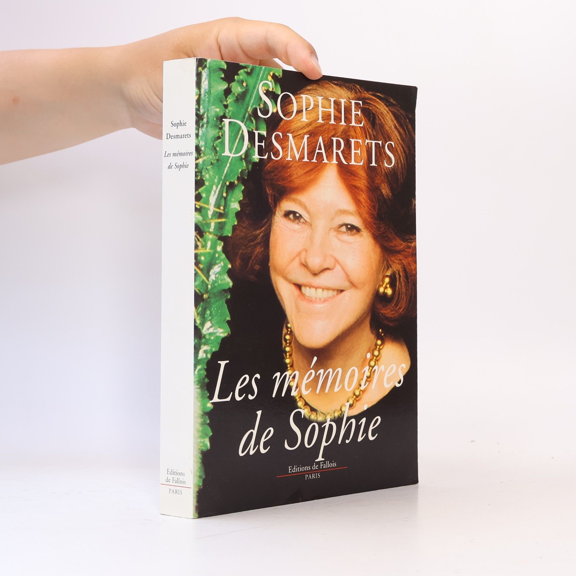 Sophie Desmarets Les mémoires de Sophie