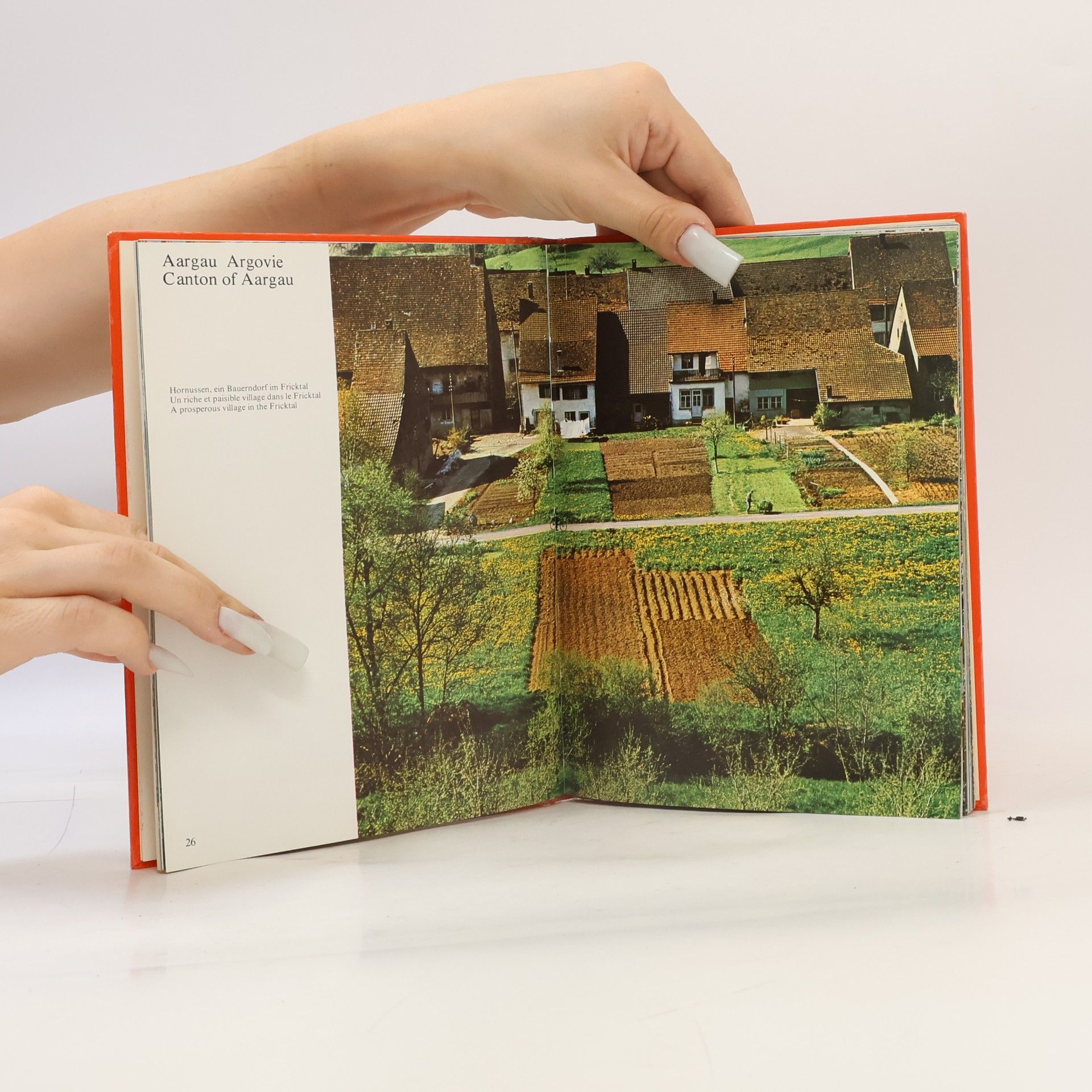 Autorenkollektiv Souvenir Schweiz Pocket