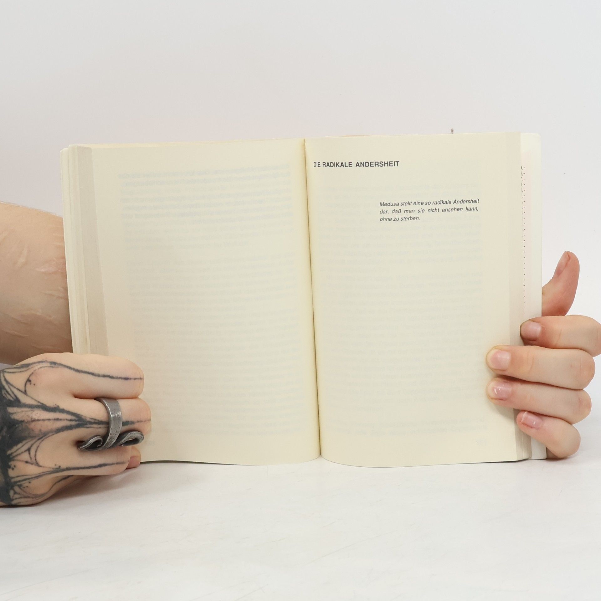 Jean Baudrillard Transparenz des Bösen