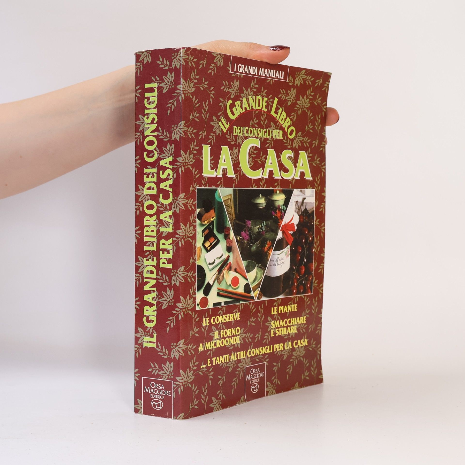 Alina Rizzi Il grande libro dei consigli per la casa