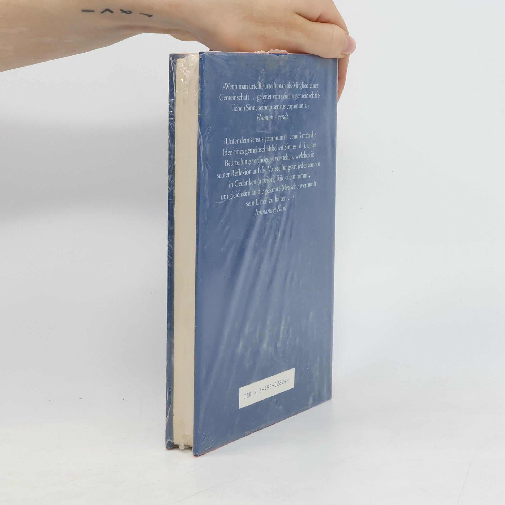 Hannah Arendt Das Urteilen