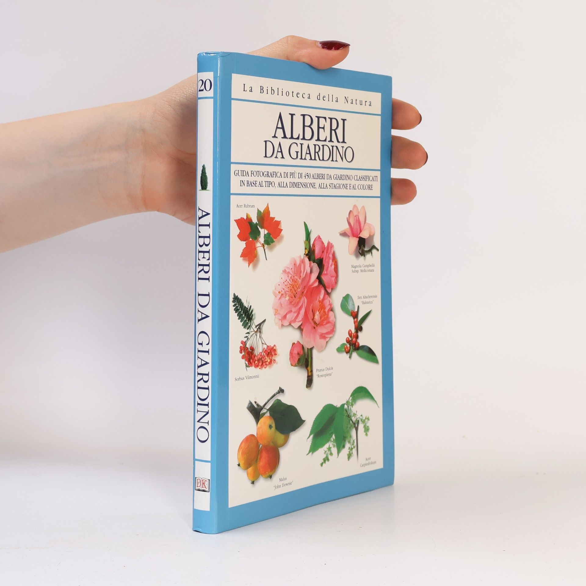 Autores varios Alberi da giardino