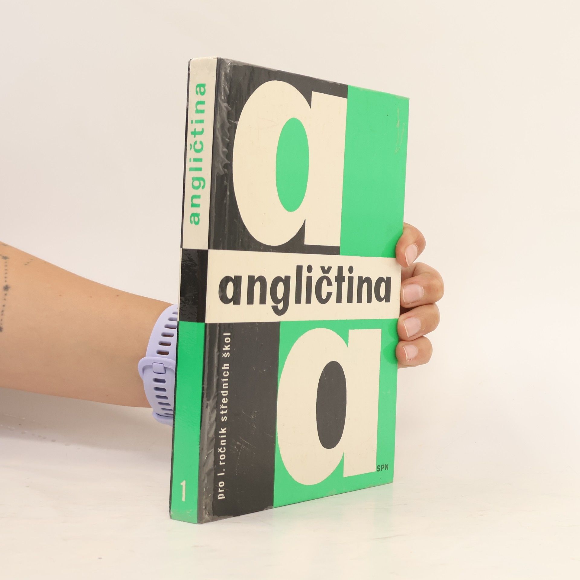 Collectif d'auteurs Angličtina pro 1. ročník středních škol