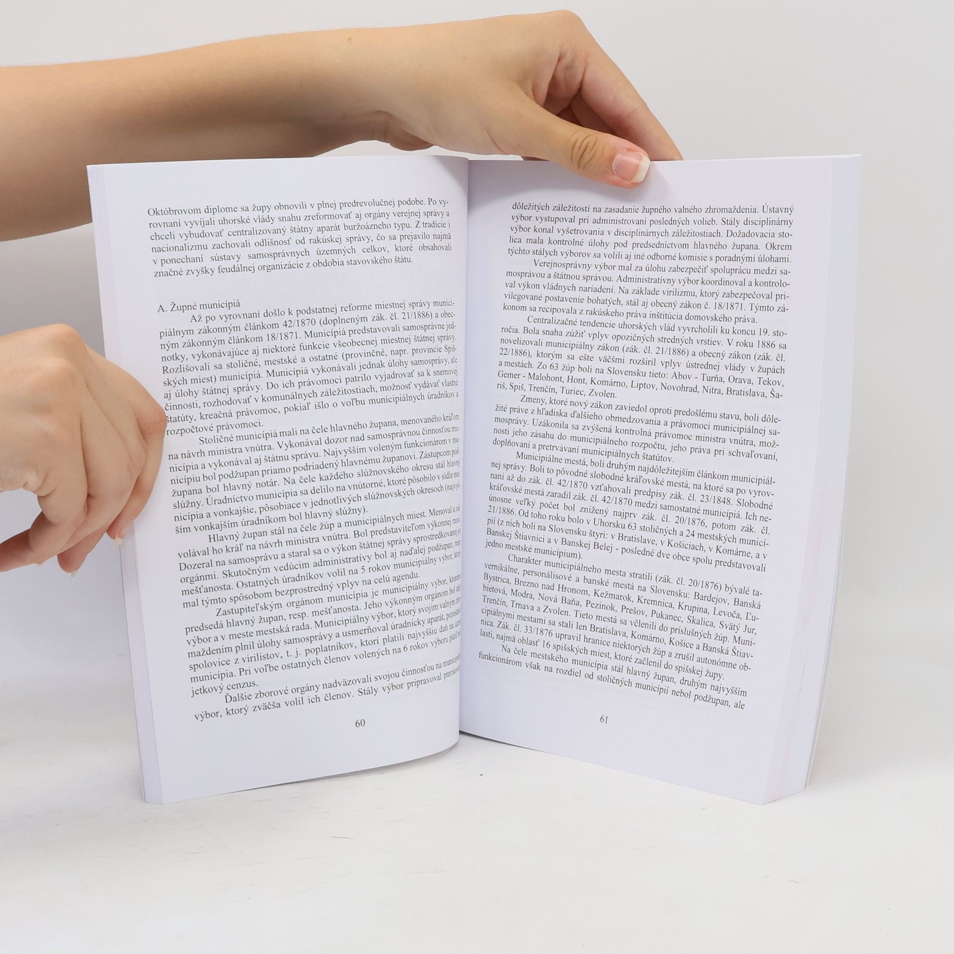 Autorenkollektiv Dejiny štátu a práva na území Slovenska 2