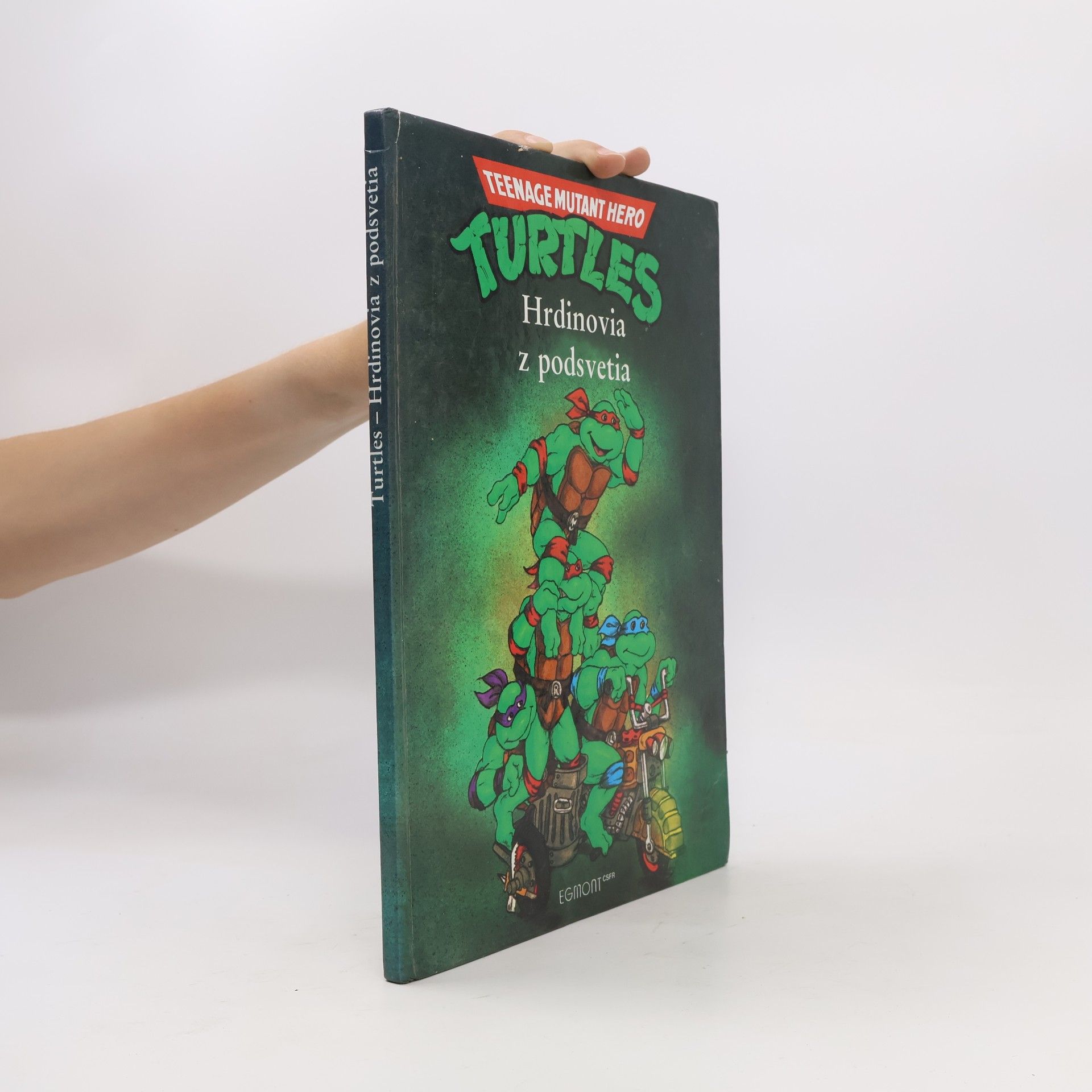 Maureen Spurgeon Turtles - Hrdinovia z podsvetia